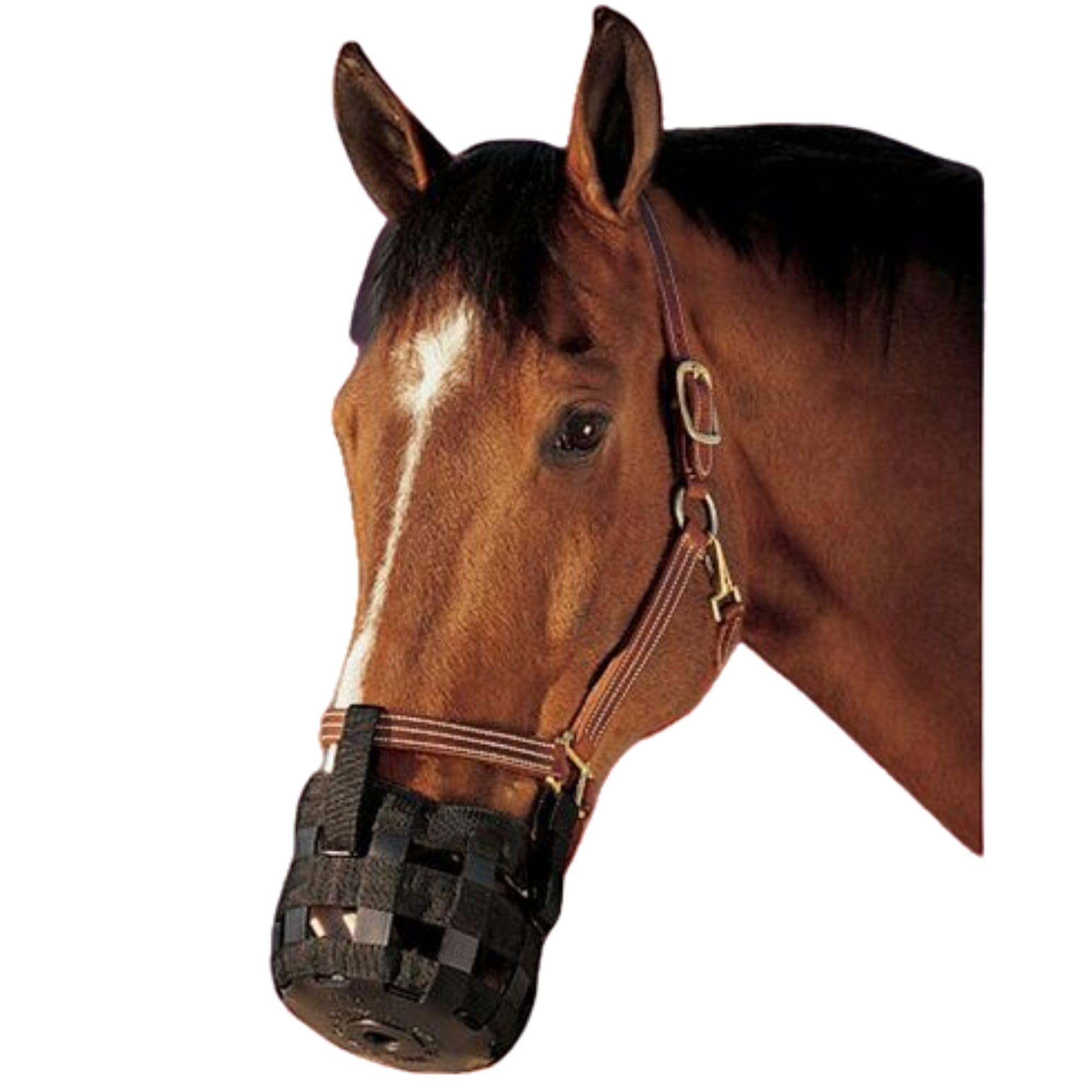 Best Friend Bozal de pasto estándar, bozal ligero y ventilado con banda nasal acolchada, fijación al cabestro de caballos, restringe la ingesta de alimentos, apoya el comportamiento natural de