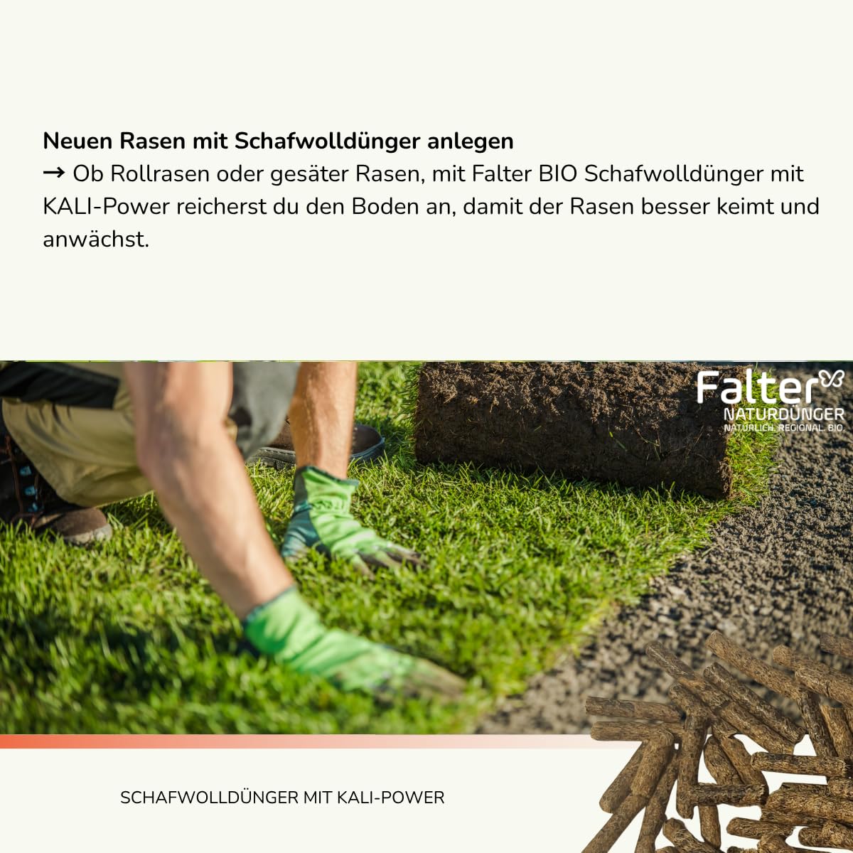 Falter BIO Schafwolldünger mit KALI-Power 20 kg - Gemüse- & Hochbeetdünger und zum Pflanzen von Hecken und Rosen