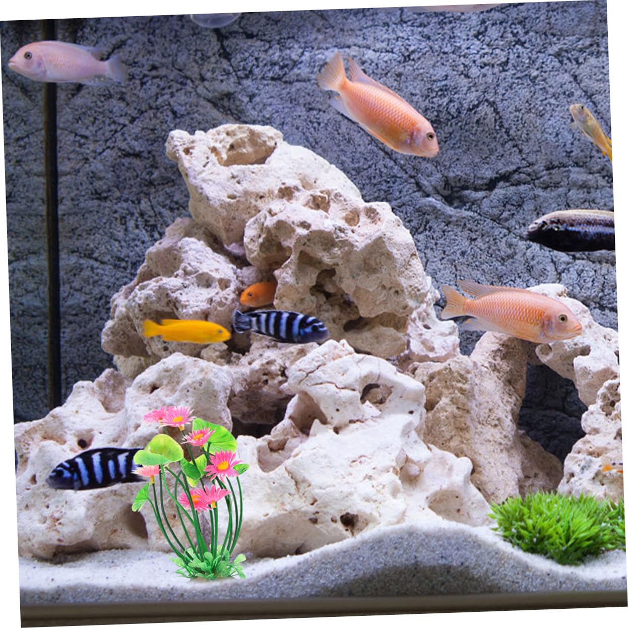 HANABASS 6 Stück Künstliche Aquariumpflanzen aus Kunststoff Langlebige Wasserfeste Fischtank Dekorationen mit Stabilem Sockel Sichere und Farbbeständige Aquarium Pflanzen für Naturnahe
