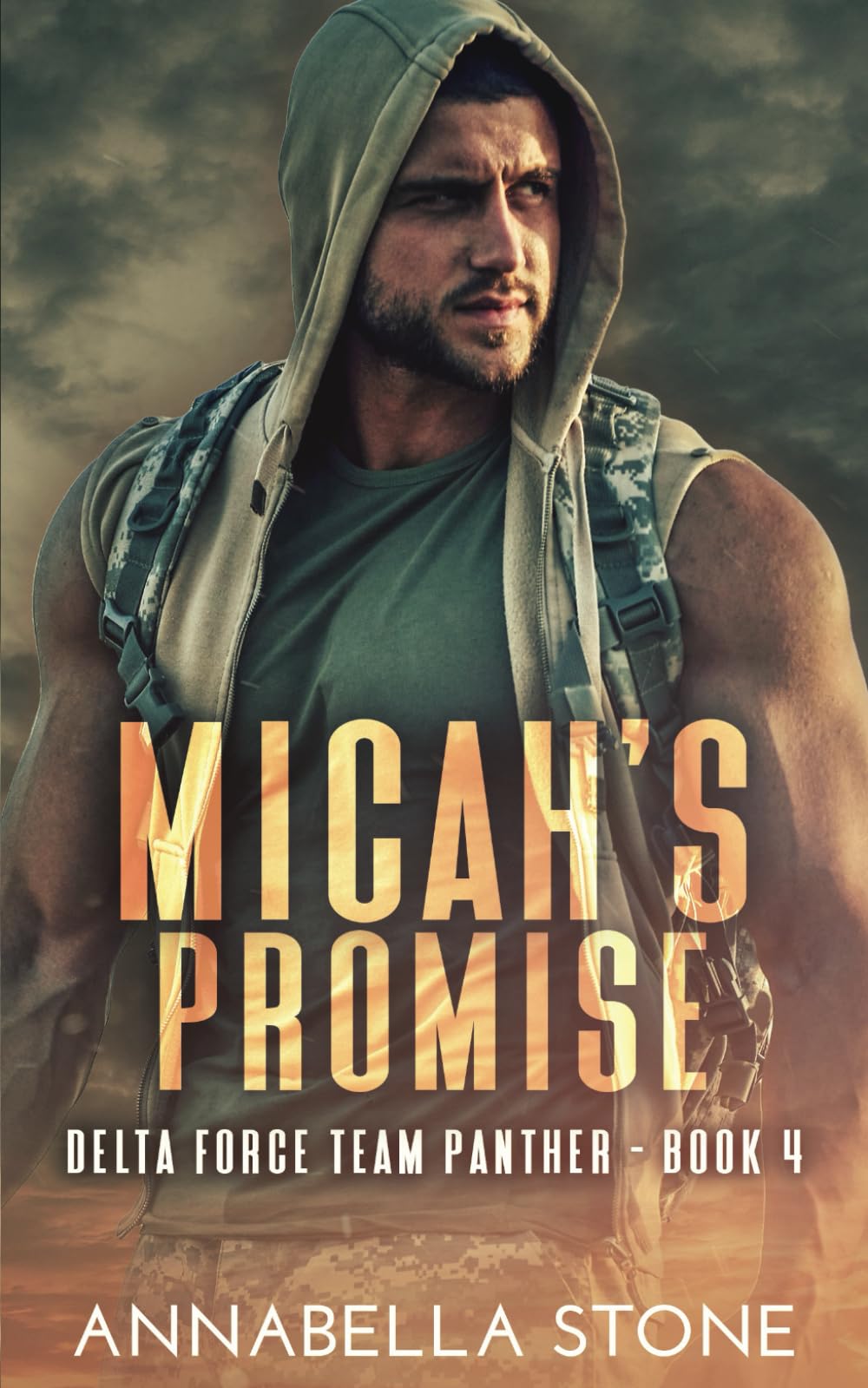 Micah's Promise: LGBT Military Suspense (Delta Force Team Panther)