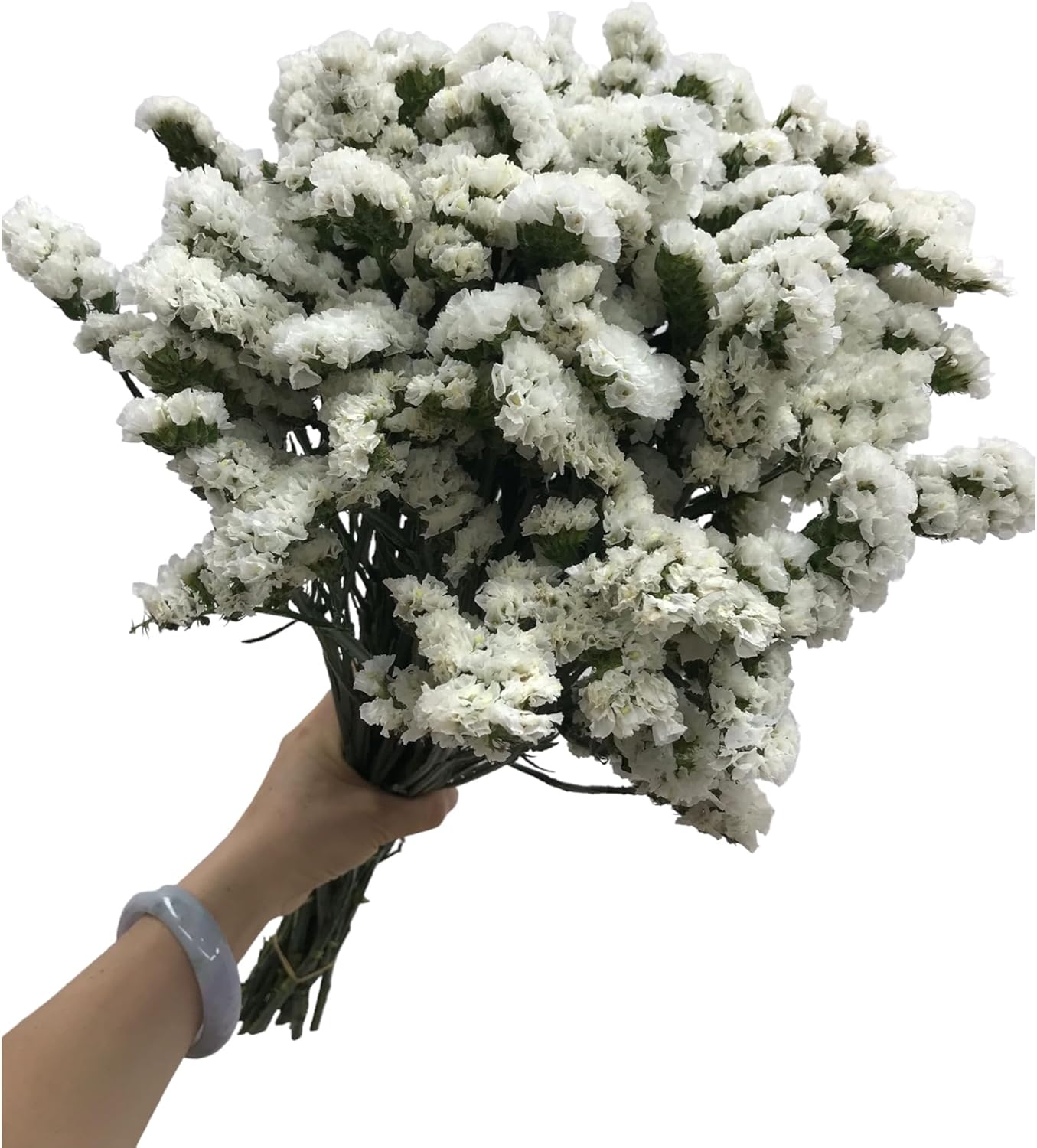 15 White Forget-Me-Nots Fresh Cut Flowers Bouquet Prime Delivery Gifts for Birthday Anniversary Friendship and Love Flower Arrangement