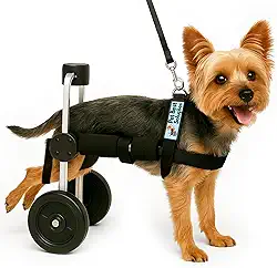 Cadeira de Rodas para Cachorro e Gato Tamanho PP Pet Best Soluções BasicLine