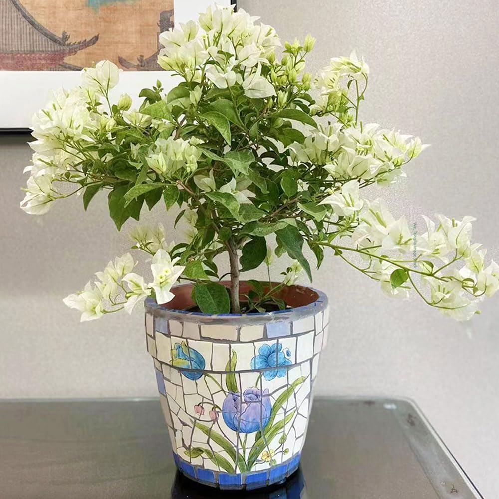 Ceramiczna doniczka na sukulenty, roślina domowa, kaktus, bonsai, dekoracyjna doniczka, pojemnik na rośliny z otworami drenażowymi, ceramiczne doniczki, ręcznie malowana