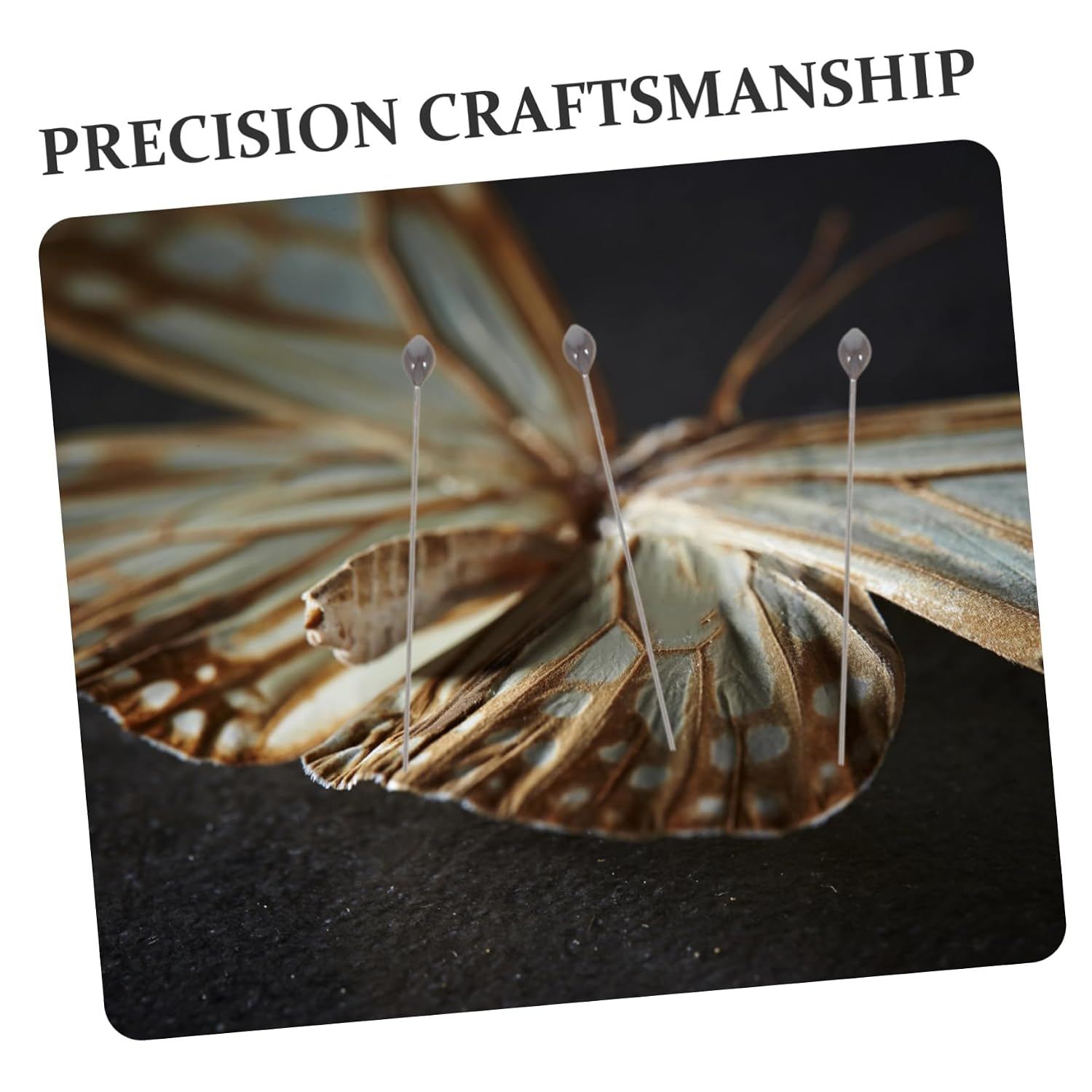 100pcs Insect Observation Tool Stainless Steel Specimen Fixing Pin Mounting Kit