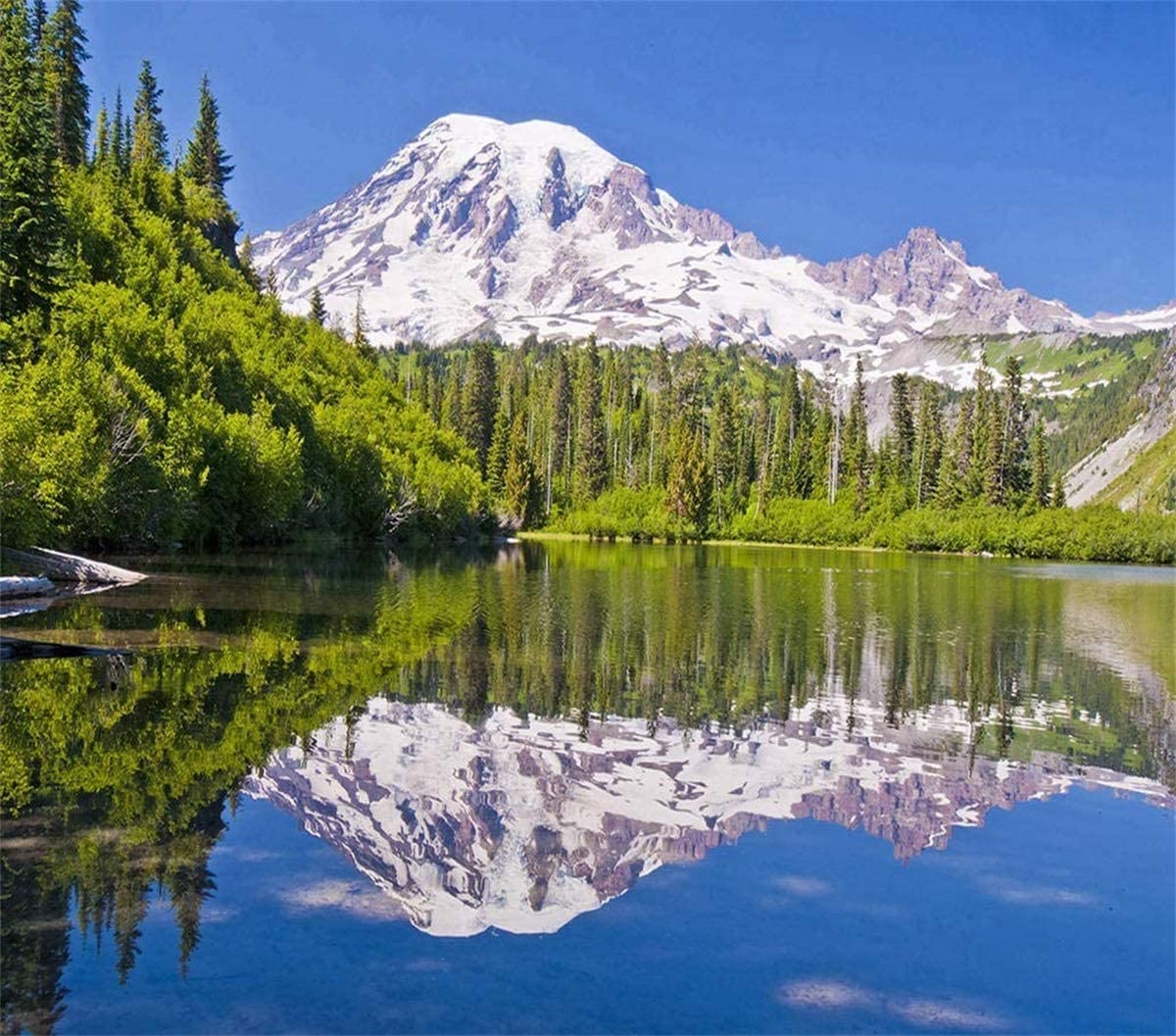 DIY 5D Diamond Painting Numbering Kit Beautful Reflection Mt Rainier Bench Lake Hood Mount Hike Oregon 12 X 16 inch Adult Children Rhinestone Cross Stitch for Home Decoration