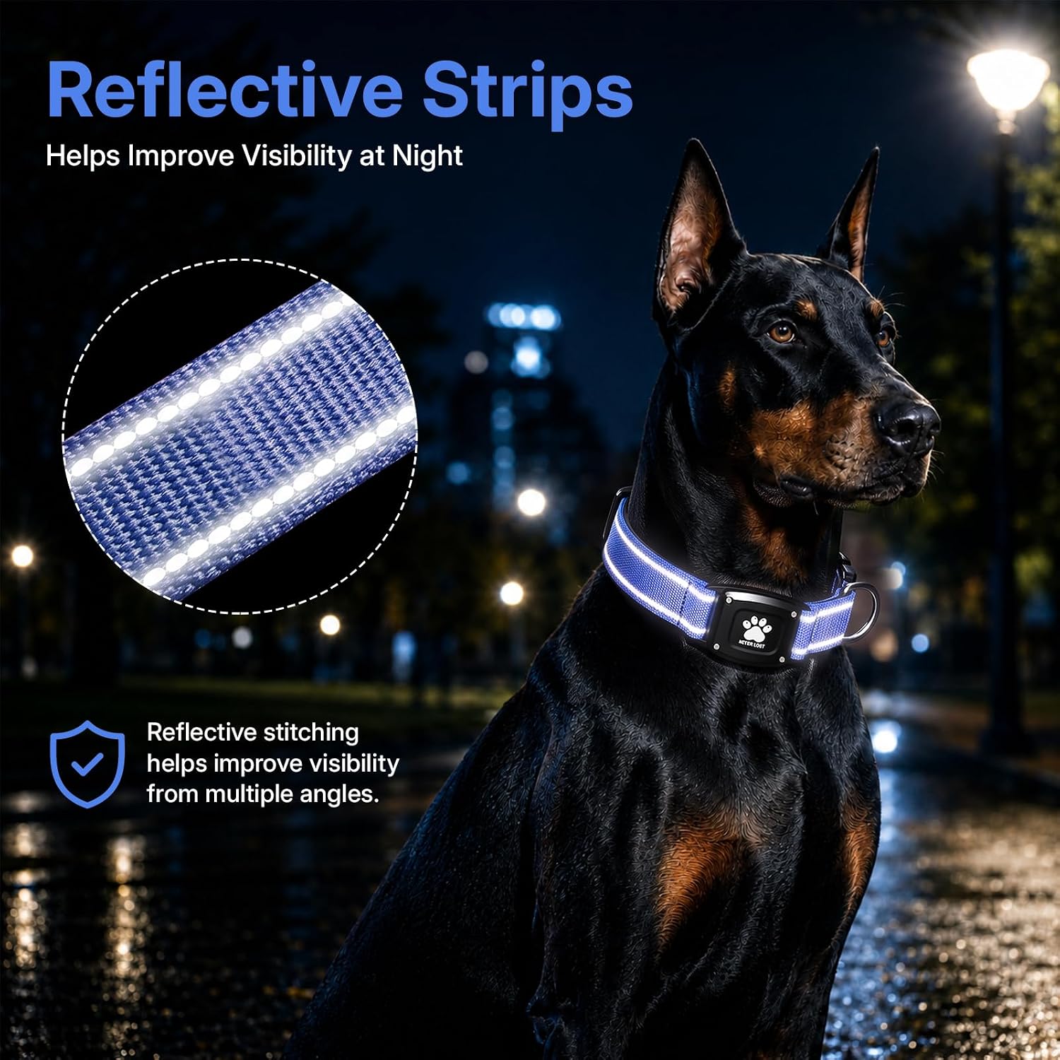GPS Dog Collar with Tracker, Waterproof, No Monthly Fee, Blue, L