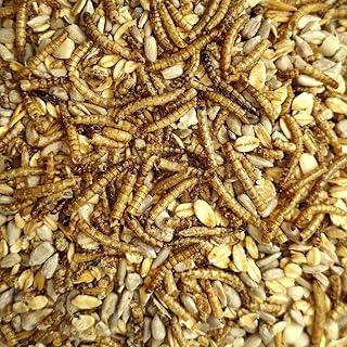 20 kg Deluxe Mealworm Bowlless Bird Food for Wild Birds product image
