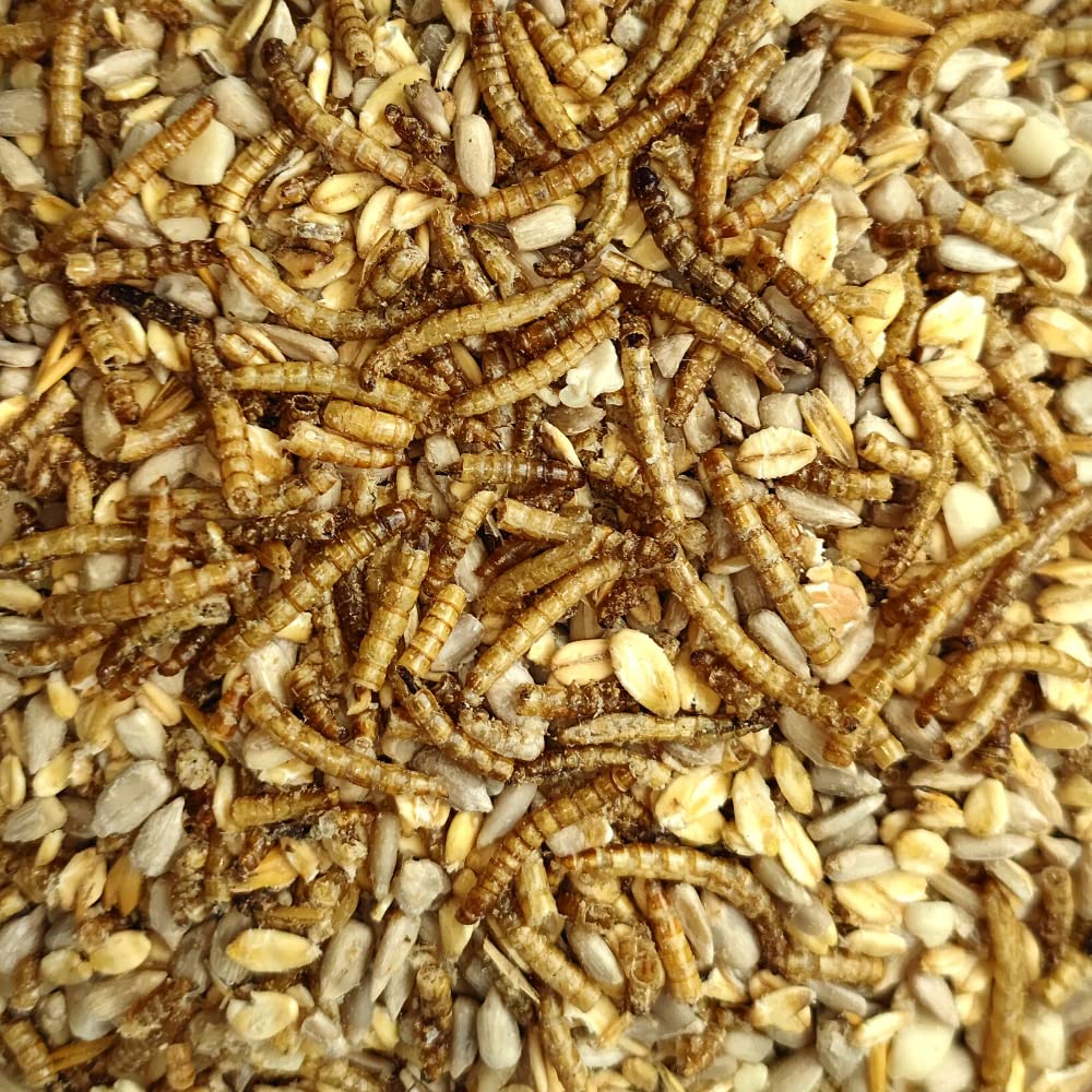 Kippenmuesli met meelwormen 2x10 kg - Feest Voor Vogels