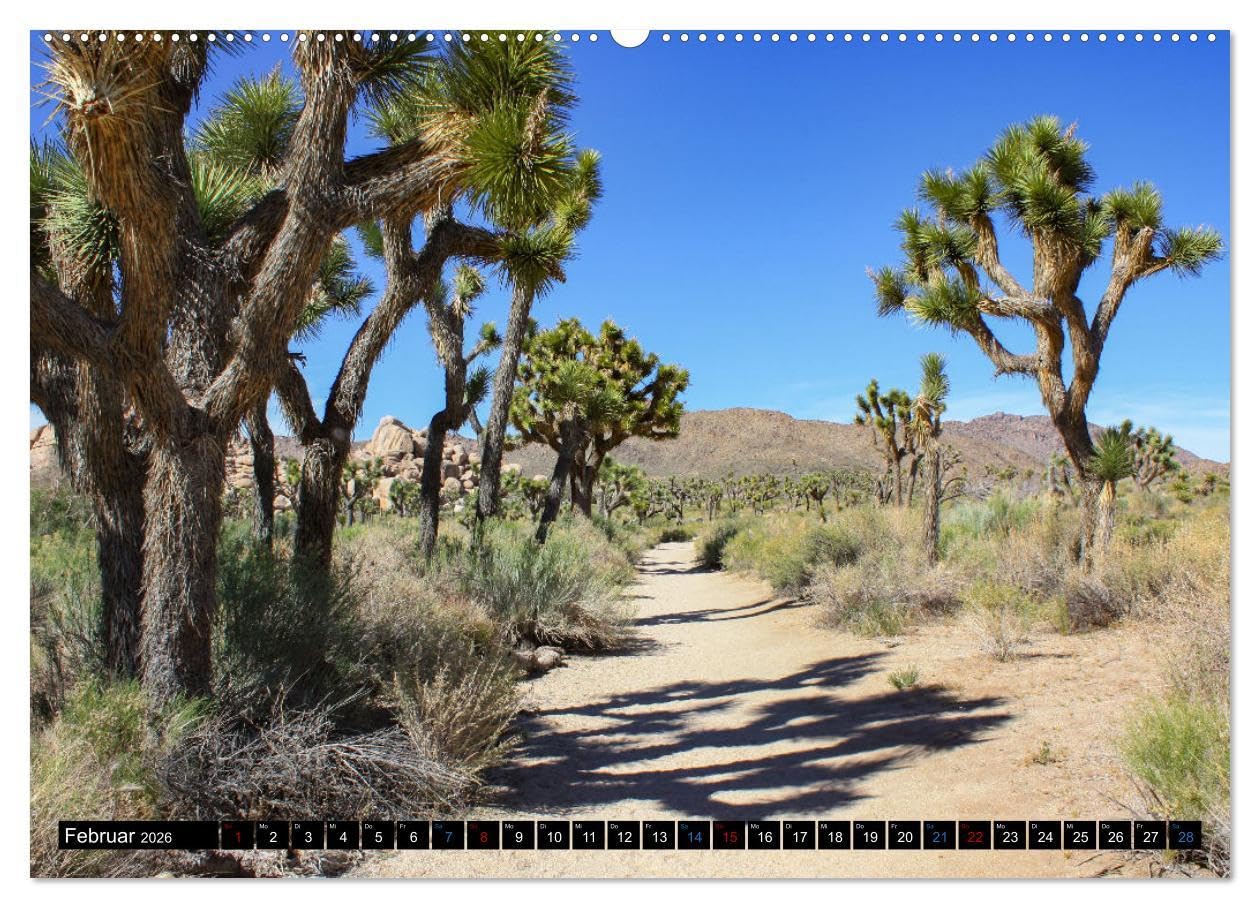 USA - Der Südwesten (Wandkalender 2026 DIN A2 quer), CALVENDO Monatskalender: Atemberaubende Aufnahmen der abwechslungreichen Landschaft im Südwesten der USA (CALVENDO Orte)