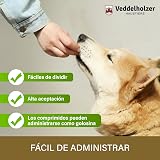 Ver la foto 4