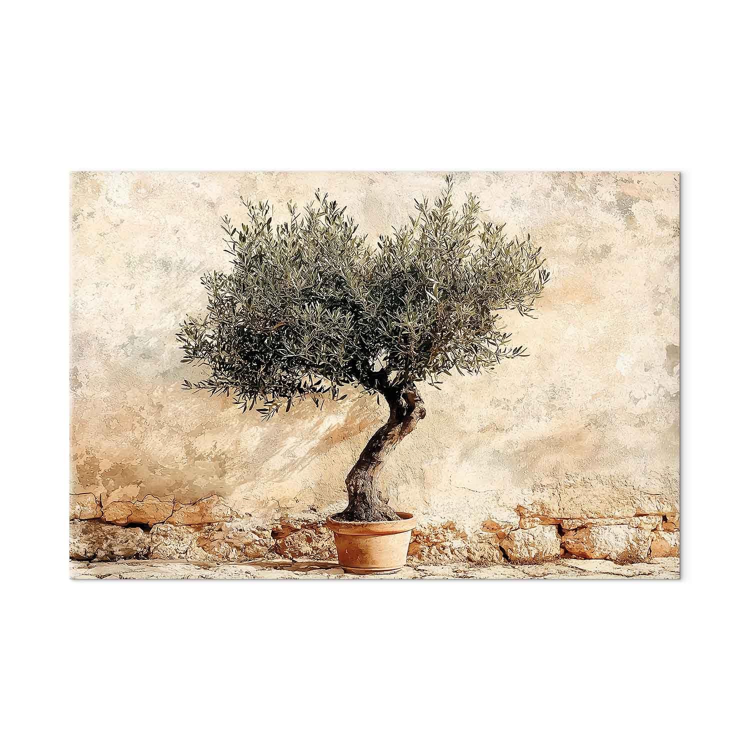 murando - Tableau decoration murale 120x80 cm - Impression sur toile avec cadre – Art décoratif moderne maison salon chambre - Olivier sur un mur beige - Olivier sur un fond rustique b-H-10235-b-a