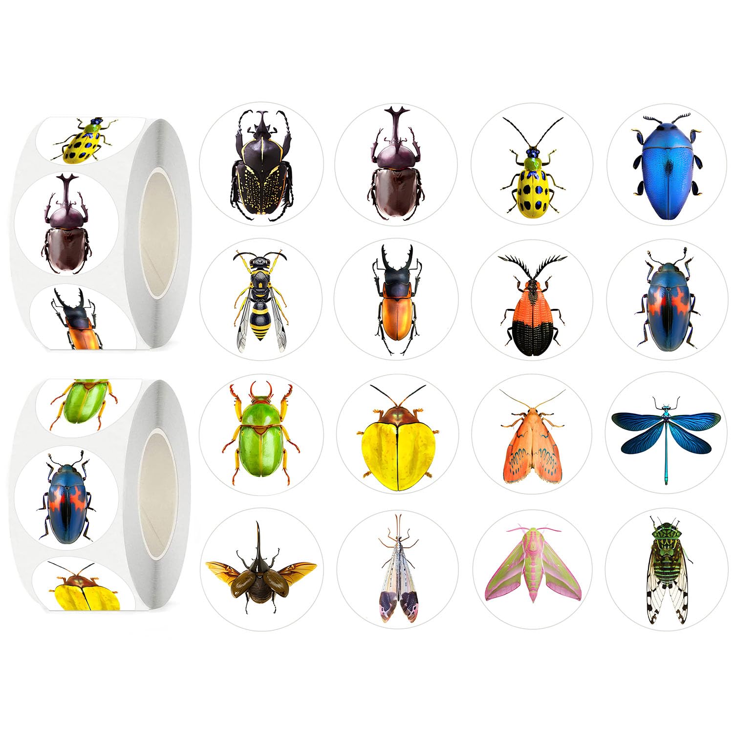 UVUXO 600 Pcs Insect Stickers for Kids- 1.5 Inch Round Stickers Roll 16 Tyles Bug Kindergarten Sticker Teacher Sticker for Kids Birthday Party School