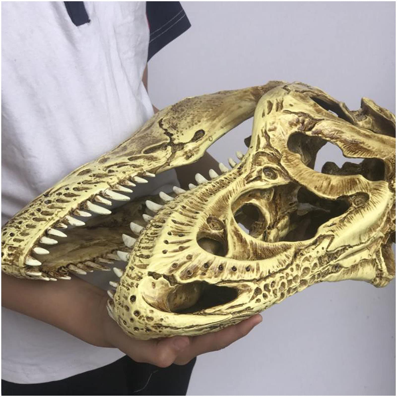 Replika czaszki T-Rexa Model symulowany szkielet zwierzęcia Tyrannosaurus Rex Wystrój biura domowego Rzemiosło Ozdoba na biurko Rekwizyt dydaktyczny