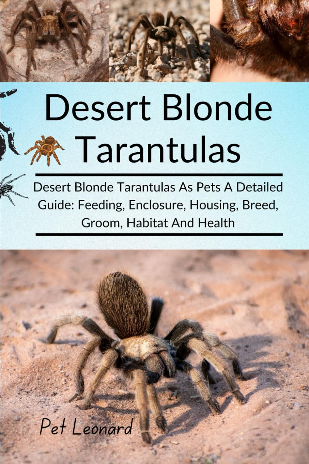 DESERT BLONDE TARANTULAS: Desert Blonde Tarantulas As Pets A Detailed Guide: Feeding, Enclosure, Housing, Breed, Groom, Habitat And Health