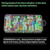 Vista 4 de MAFIMOEA - Juego de 200/500 cuentas luminosas de pesca, huevos de cebo, juego surtido de líneas de pesca de plástico, cuentas para bagre lubina