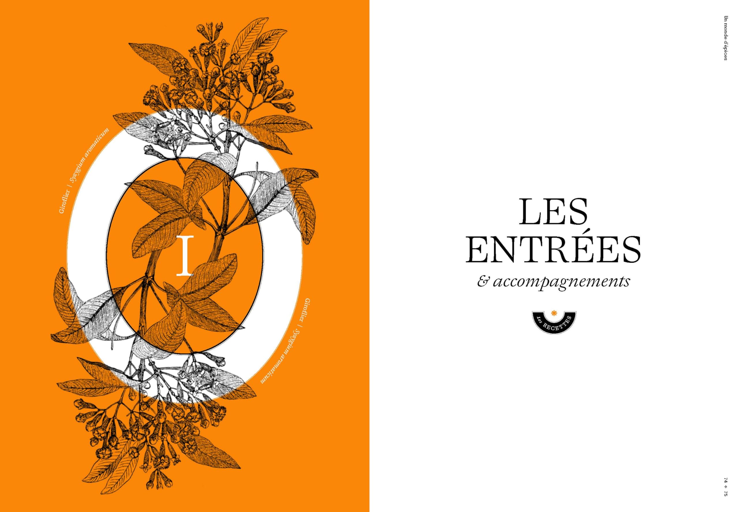 Un monde d'épices: Les connaître, les mélanger & 100 recettes pour les cuisiner