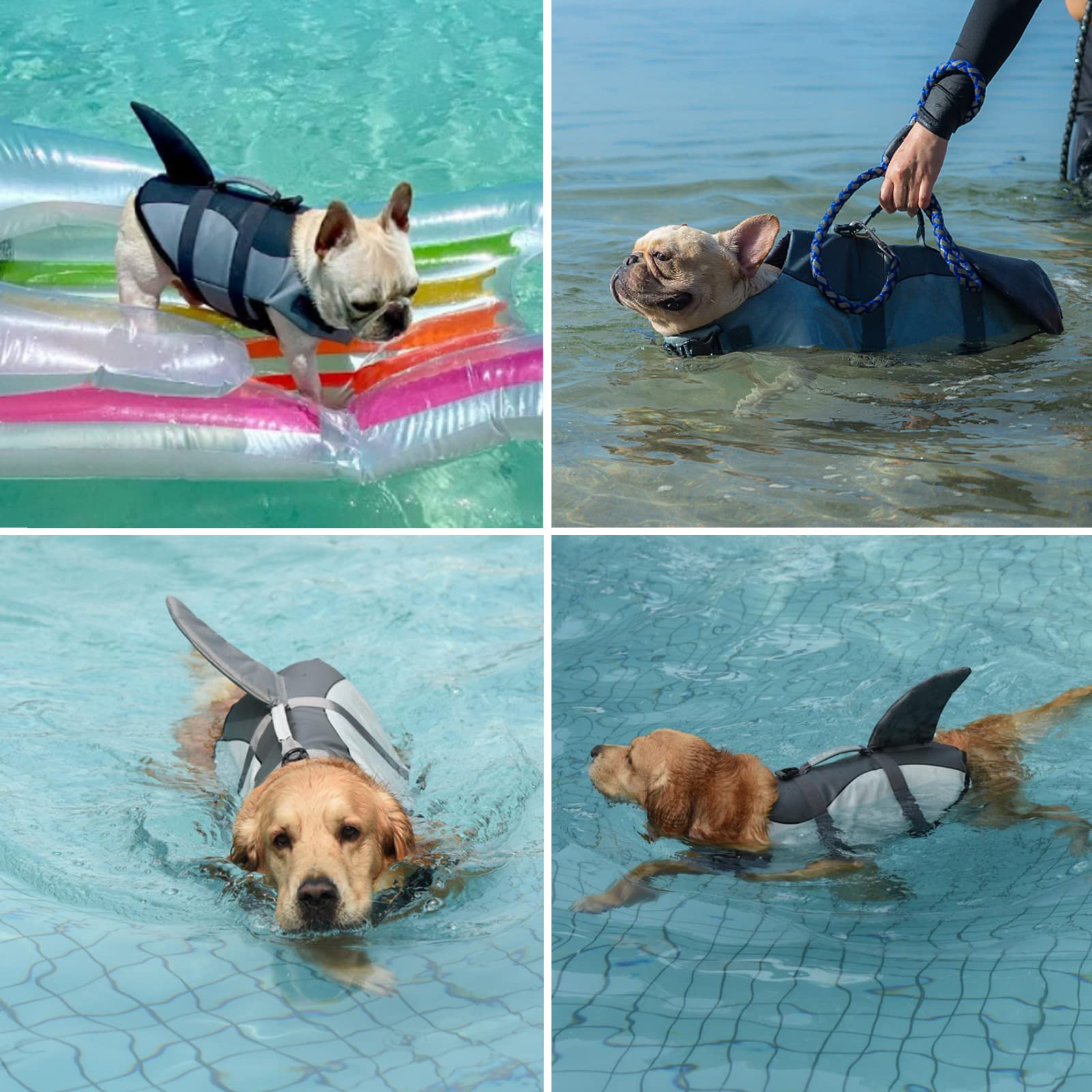 Dogcheer Gilet de sauvetage pour chien de grande taille - Gilet de sauvetage réglable pour animal domestique - Gilet de flottaison pour piscine, plage, bateau