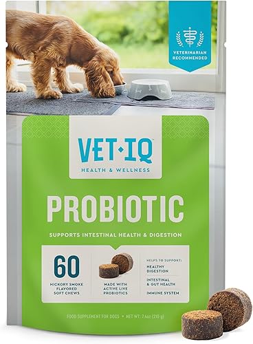 VetIQ Suplemento probiótico para perros, soporte digestivo para perros, nutre las bacterias intestinales y apoya la función intestinal, sabor a humo