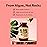 sapling Calcium Supplement - Whole Food with Vitamin K2 & D3, Magnesium, Zinc, Boron, Mineral Complex. Sourced Sustainably from Red Algae. for Bone Strength and Support. Non-GMO & Vegan 90 Capsules.