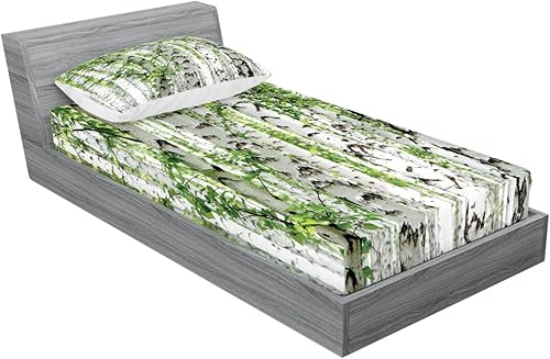 Miniatura 341 de Ambesonne Juego de sábanas bajeras y fundas de almohada con diseño de gato durmiendo en luna creciente, estrellas, sueños nocturnos, juego de ropa