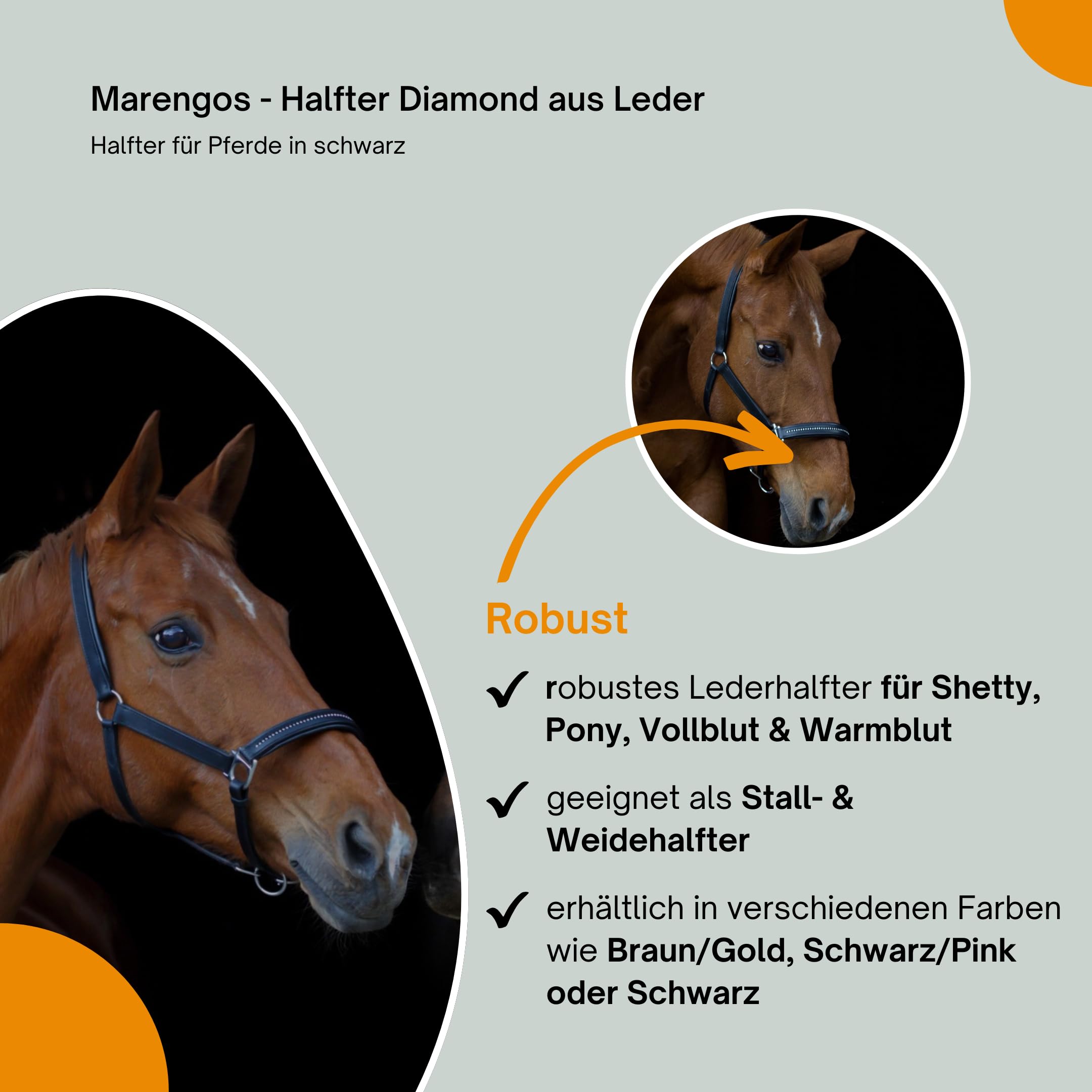 Marengos - Halfter Diamond aus Leder | Halfter für Pferde | Pferdehalfter mit farbig unterlegtem Nasenriemen & Genickstück | edles Lederhalfter | Pferde Zubehör in Schwarz | Warmblut