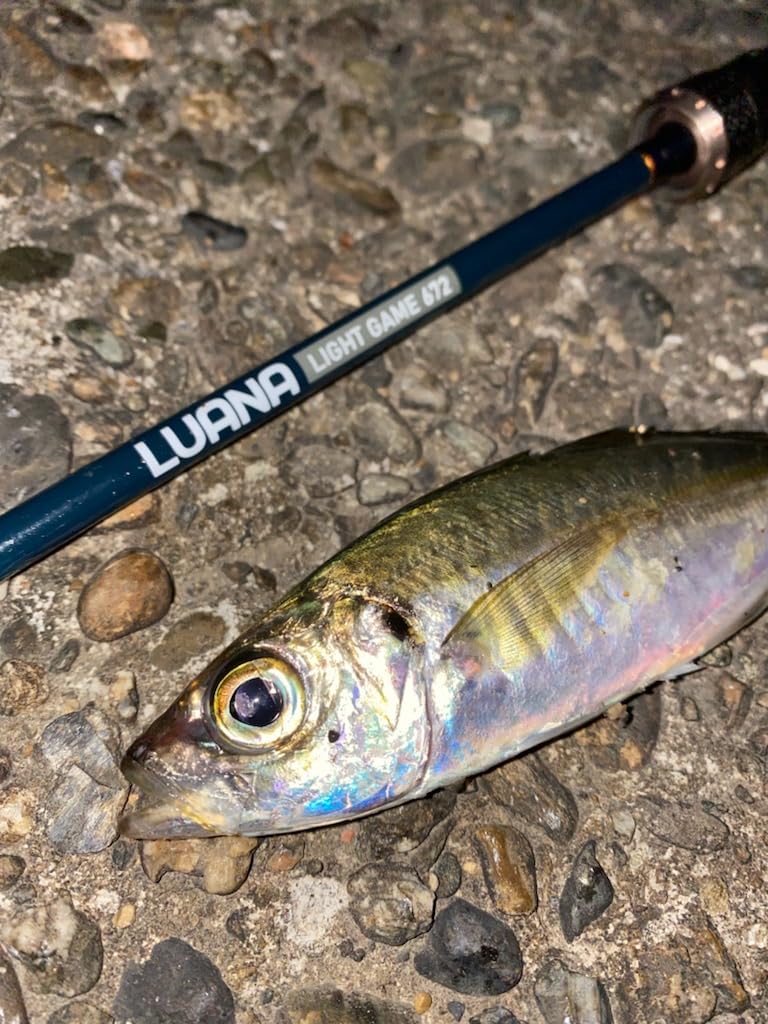 Amazon | Tsulino LUANA LIGHT GAME 672【ライトソルトゲーム用2ピース