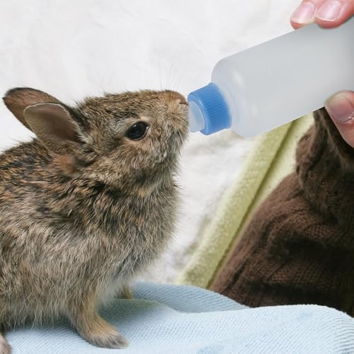 Miniatura 6 de POPETPOP 3 biberones de lactancia para mascotas para gatitos y cachorros, biberones de alimentación para pezones, báscula para animales recién