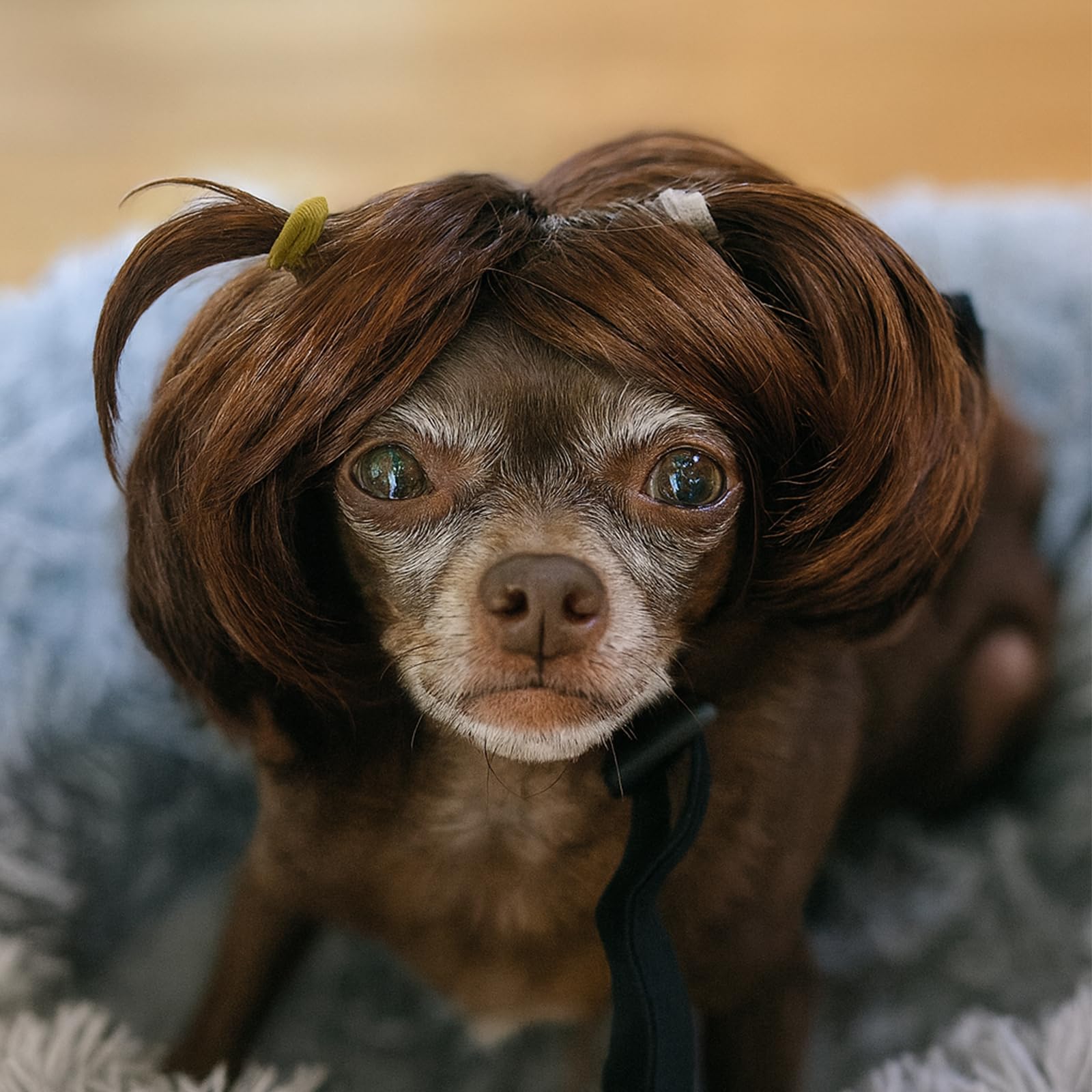 Dog Wig Pet Costumes, Cat Costume Synthetic Accessories Small Dog Headwear for Halloween Christmas Eve Festival Party Decor, Head Wear Apparel Toy (E) โ image 1