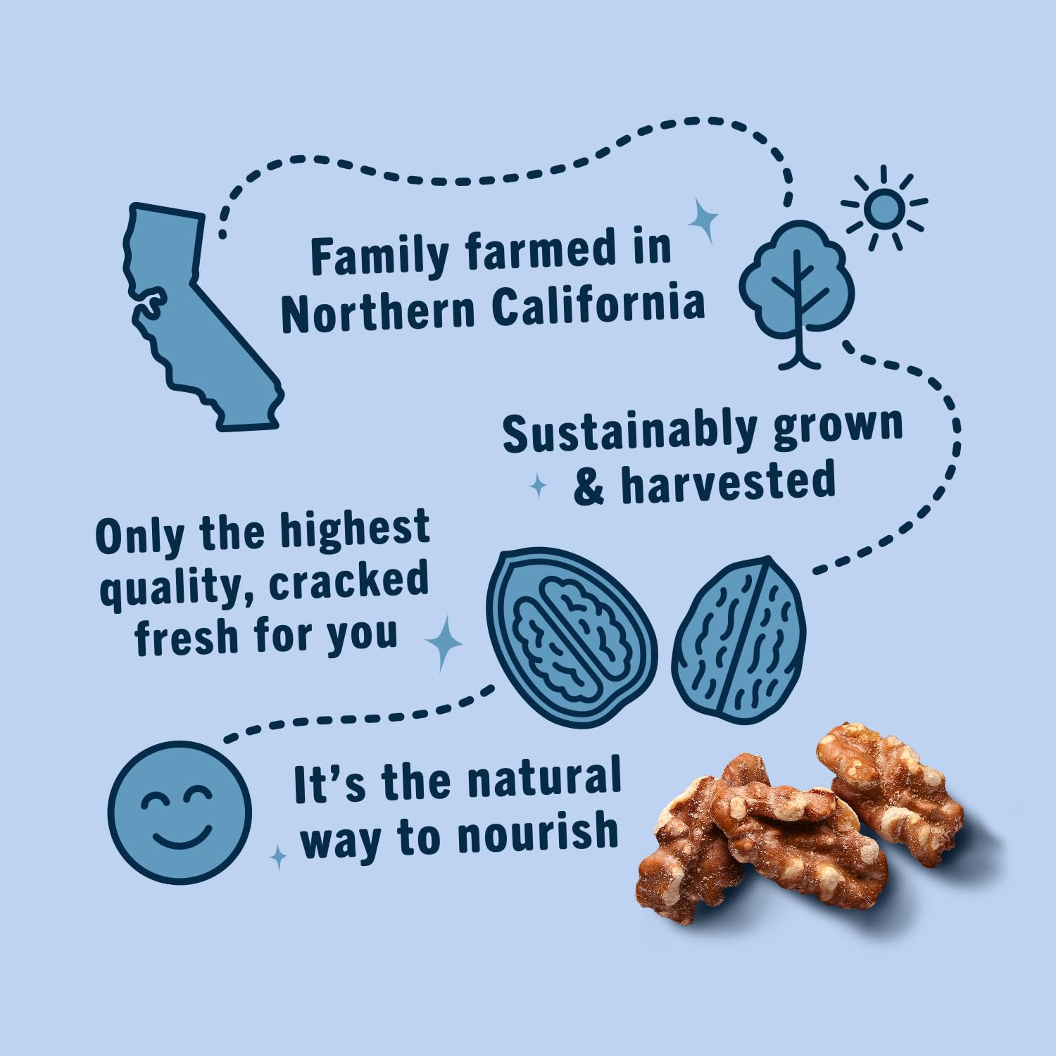 Go A Little Nuts, Roasted Sea Salt Walnuts, 4 oz Bag (Pack of 6) – Salty & Fire Roasted Plant Protein, Non-GMO, Peanut Free & Gluten-Free Healthy Snack