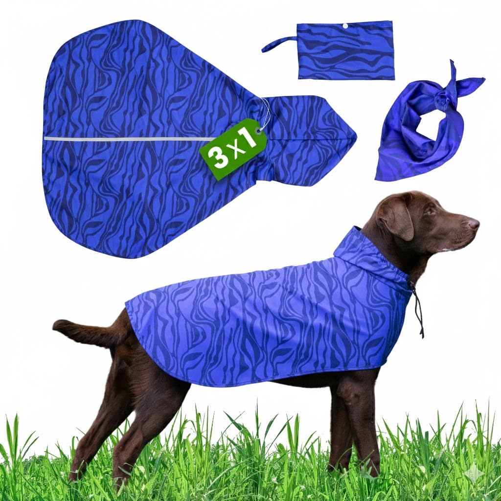 Impermeabile Cane, Cappottino Cane Taglia Piccola, Media, Grande con Tessuto Premium Idrorepellente, Stampa Originale ed Elegante, Bande Elastiche Regolabili, Bandana e Borsa Abbinata (L)