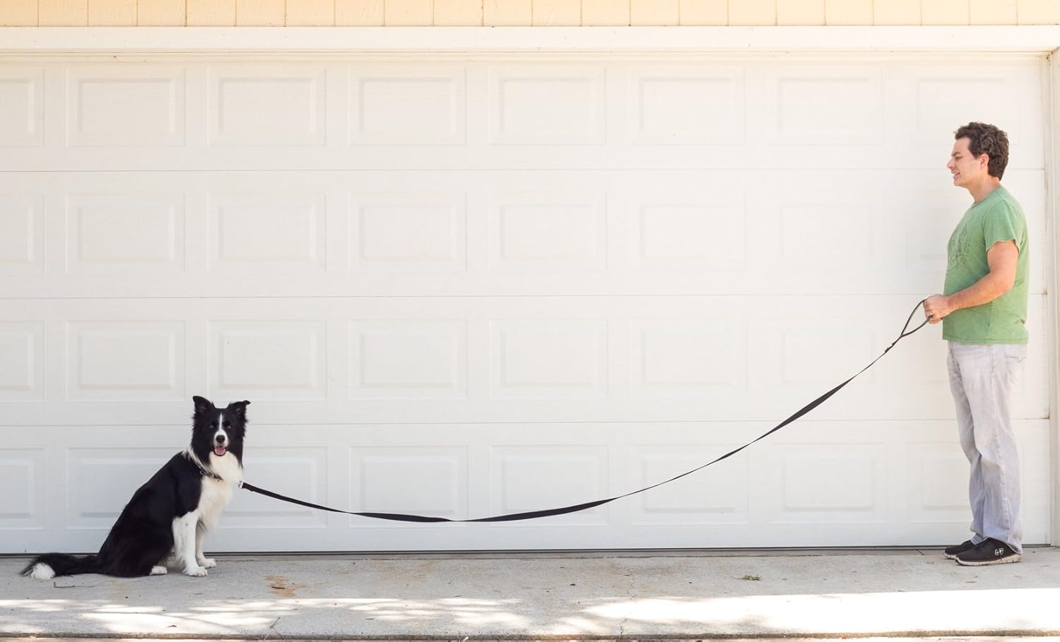 10 feet dog leash Clearance