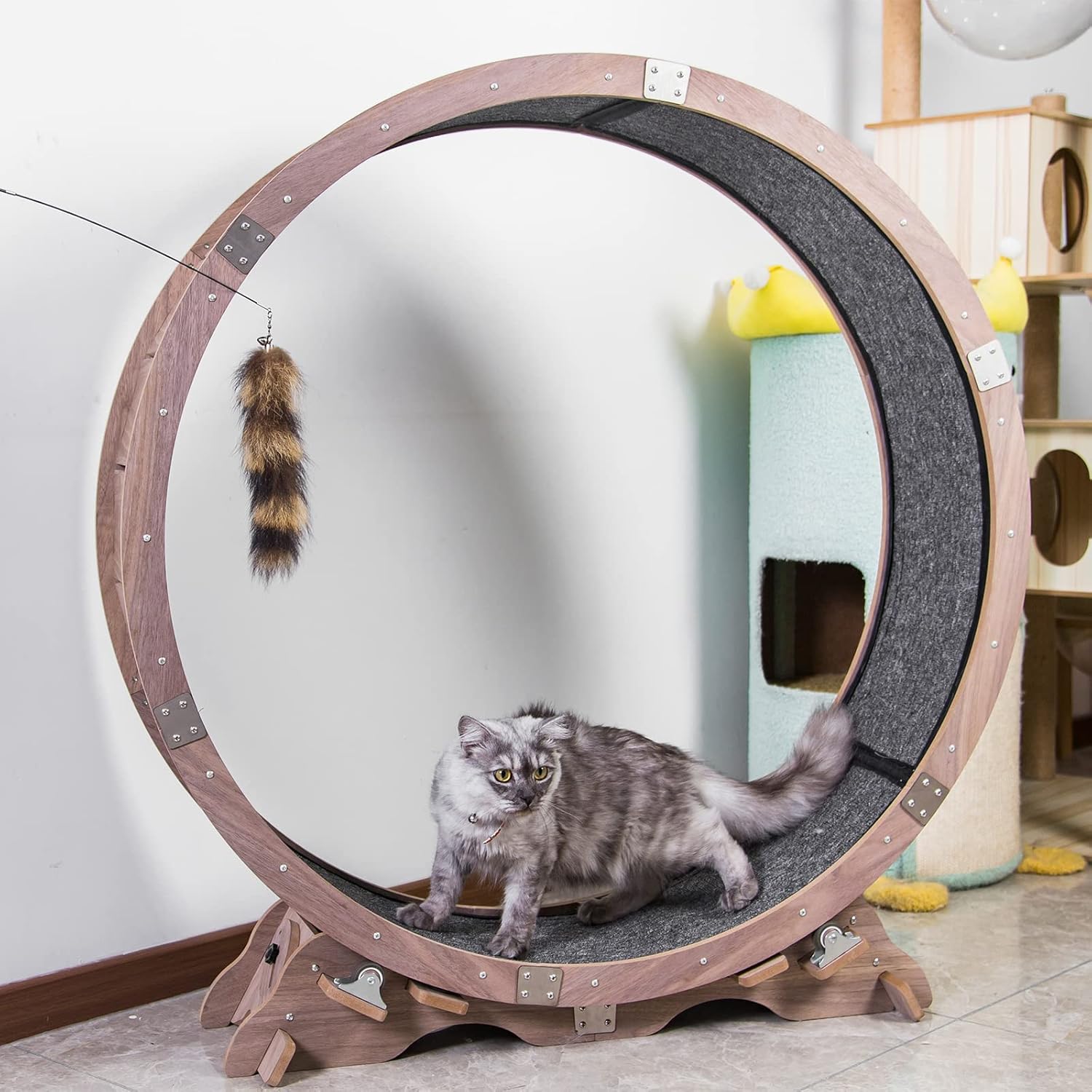 43“Cat Wheel Exerciser for Indoor Cats,Black Kuwait Ubuy