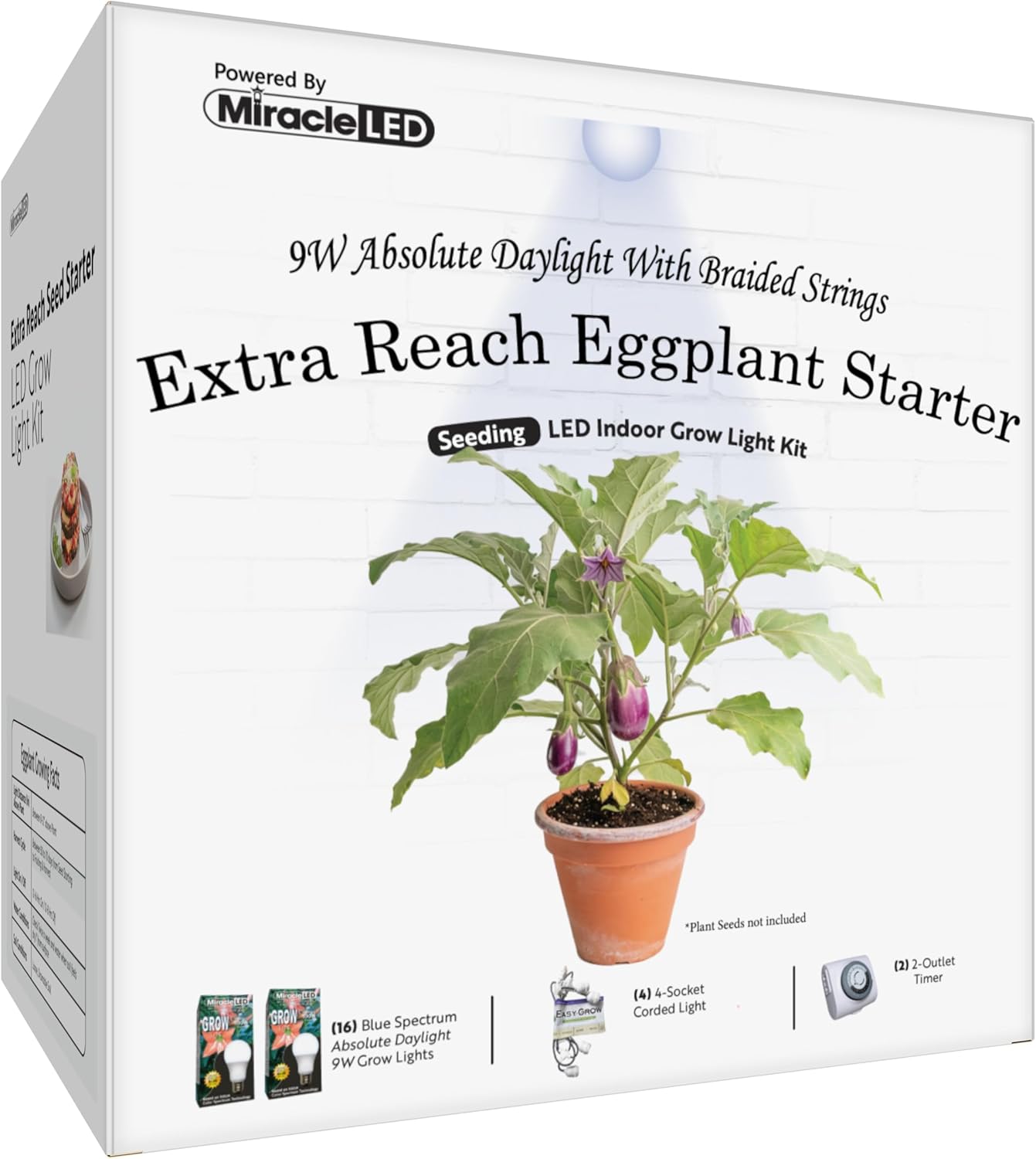 Miracle LED Absolute Daylight Blue Spectrum, Extra Reach Eggplant Starter Grow Light Kit (Braided 4-Socket)