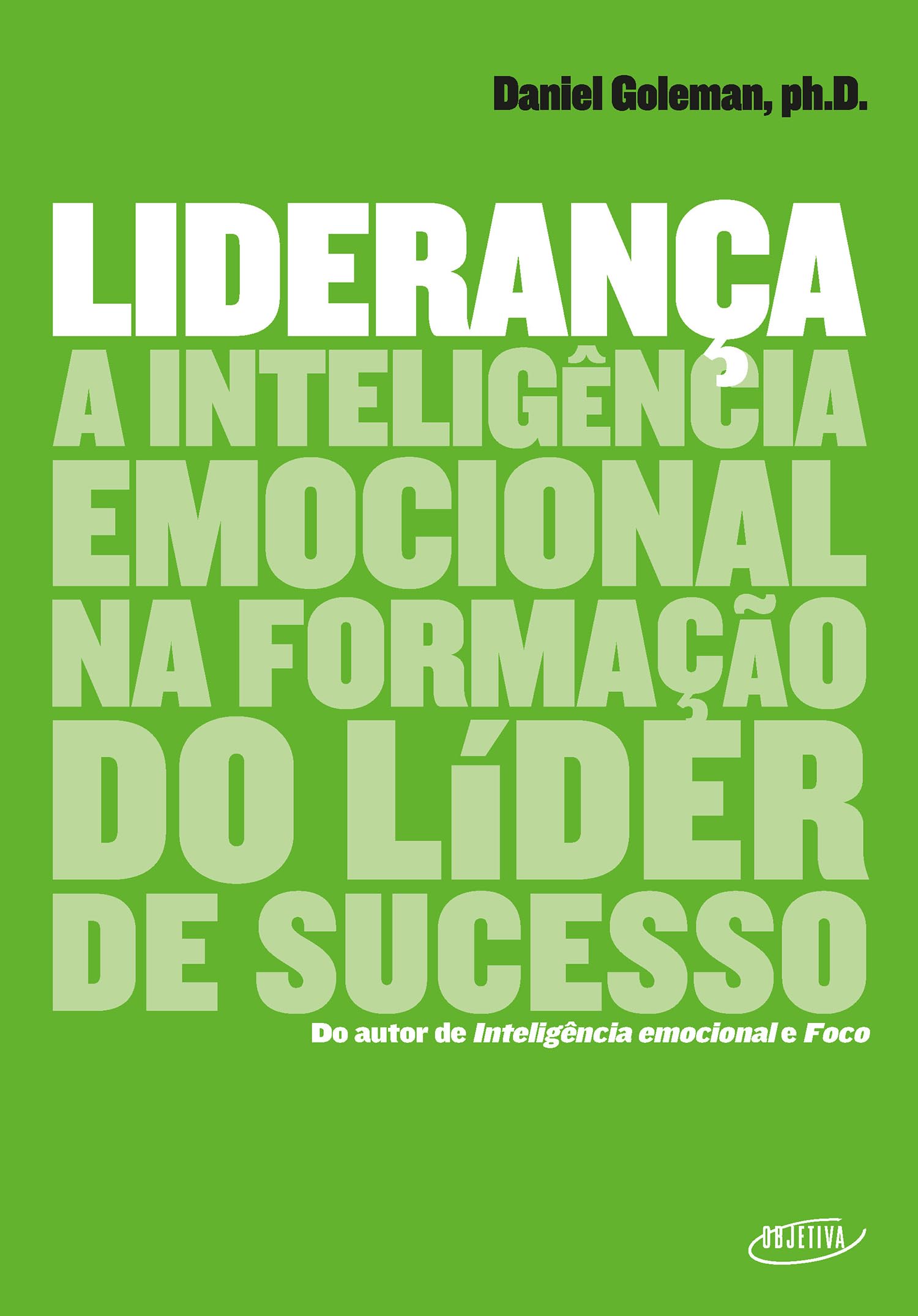 Lideranca (Em Portugues do Brasil)-image-32
