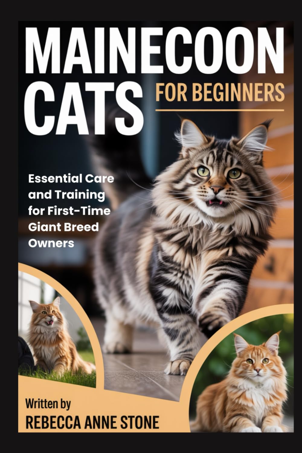 Maine Coon Cats for Beginners: Essential Care and Training for First-Time Giant Breed Owners