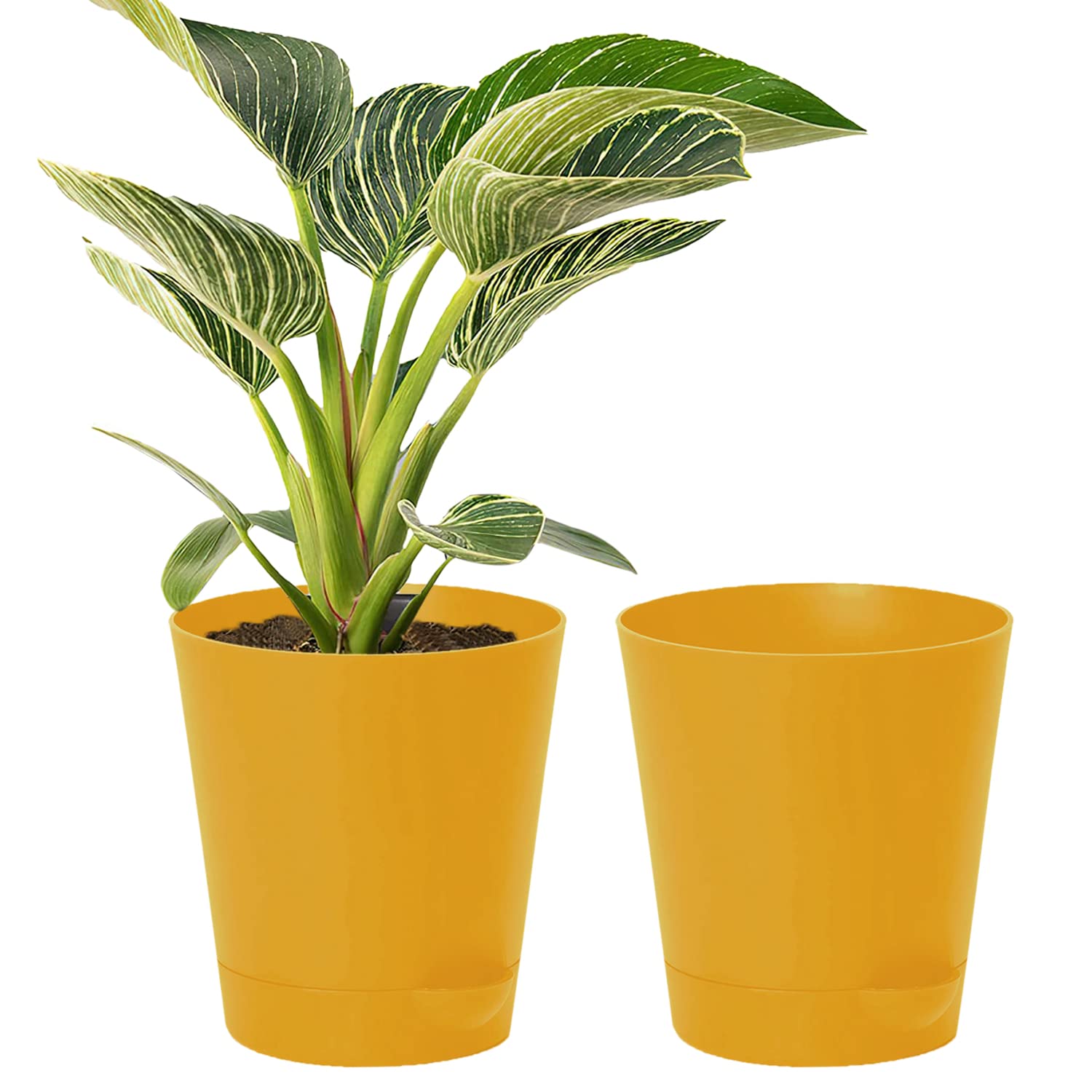 Kuber Industries Plastic Titan Pot|Garden Container for Plants & Flowers|Self-Watering Pot with Drainage Holes,6 Inch,Pack of 2 (Yellow) (B0BBLX5D76) Amazon Price History, Amazon Price Tracker