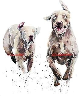 Who let the Weimaraners out?"Print Watercolour.Weimaraner watercolor,Weimaraner Art,Weimaraner Wall hanging, Weimaraner Print,Dog art print