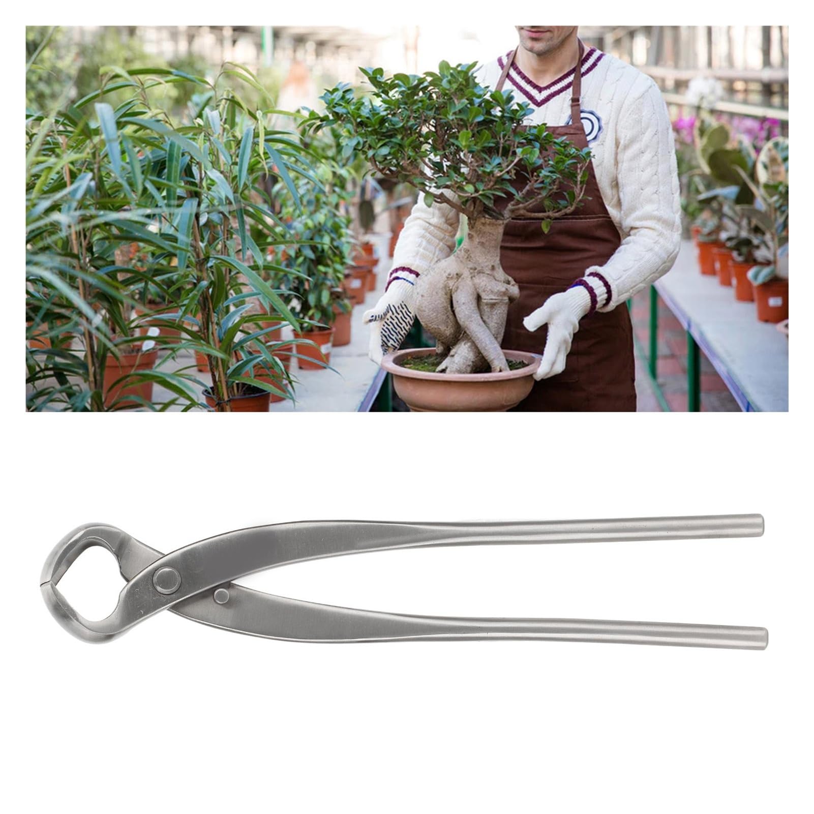 ESESE Cesoia concava Professionale for Bonsai da 11,6 Pollici, Forbici for potatura di Rami in Acciaio Inossidabile for Giardinaggio, Alberi, modellatura di Bonsai, Strumento di rifinitura