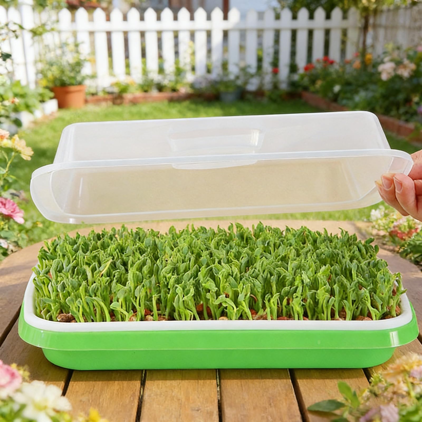 ZONJIE 5 bandejas para germinar brotes – Seed Sprouter Tray – Bandeja para germinar 32 cm x 25 cm Berro bandeja germinación bandeja para germinar microgreens, berros, frijol mungo, alfalfa, hierba de