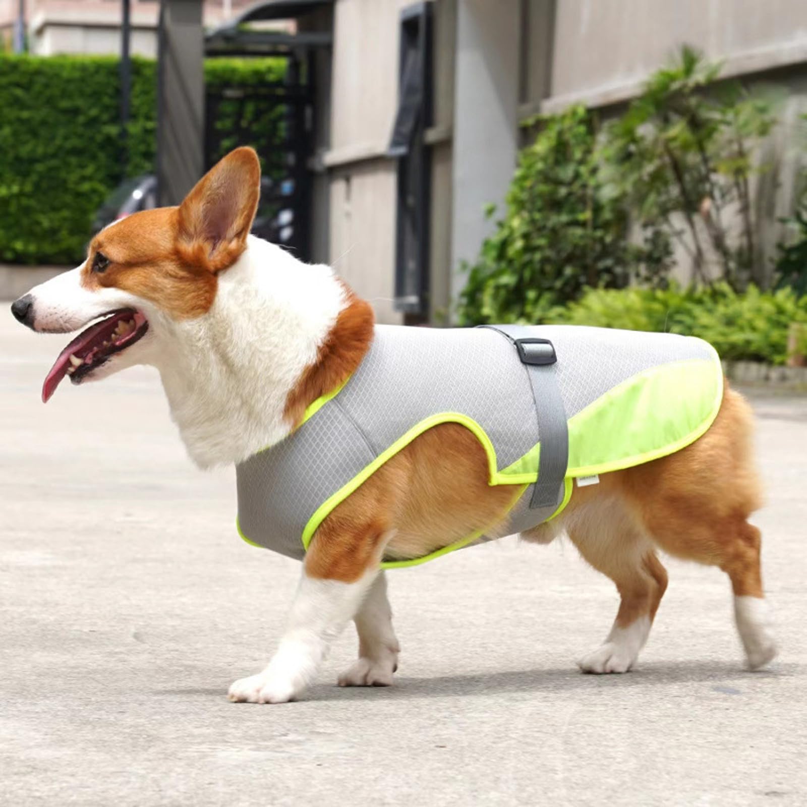 TYXHXTF Gilet de Refroidissement pour Chien, Rafraîchissant Manteau Chien, Veste de Refroidissement pour Chien, Manteau Rafraichissant Protection Contre Le Soleil Activités Extérieures pour Chiens(L)