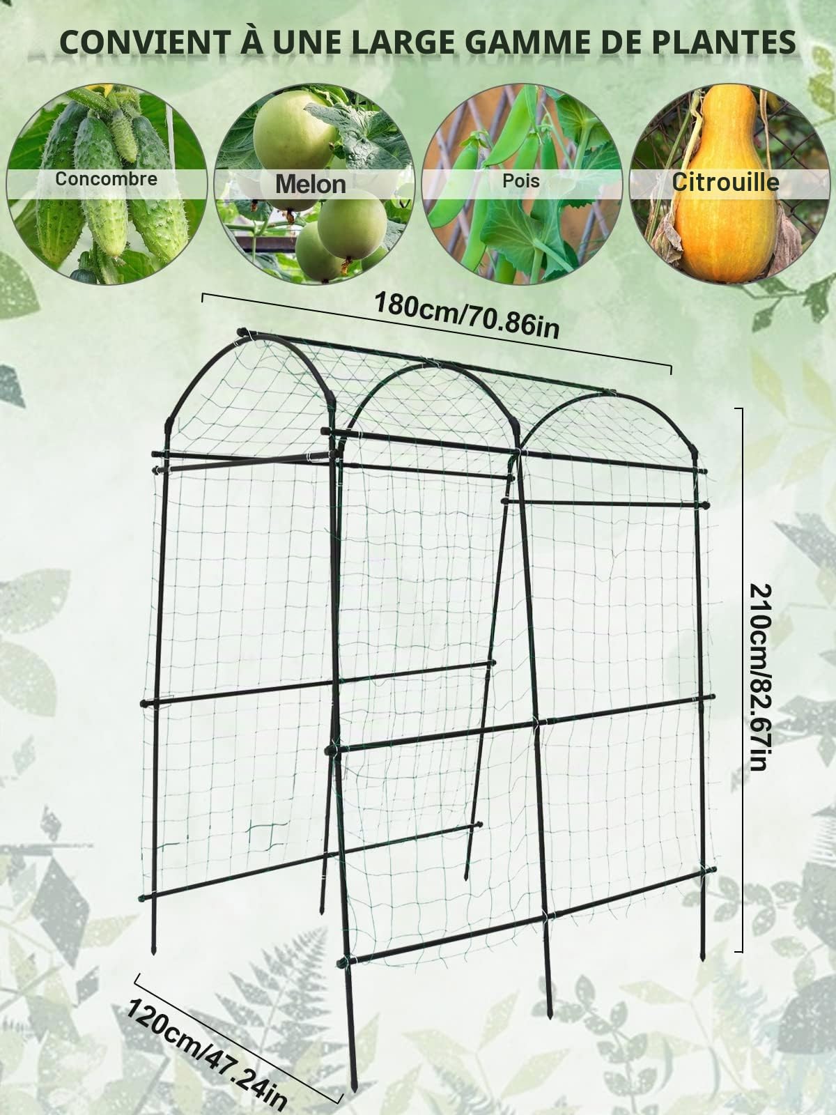Kalolary 7 Pieds Treillis d'arc de Jardin pour Plantes Grimpantes