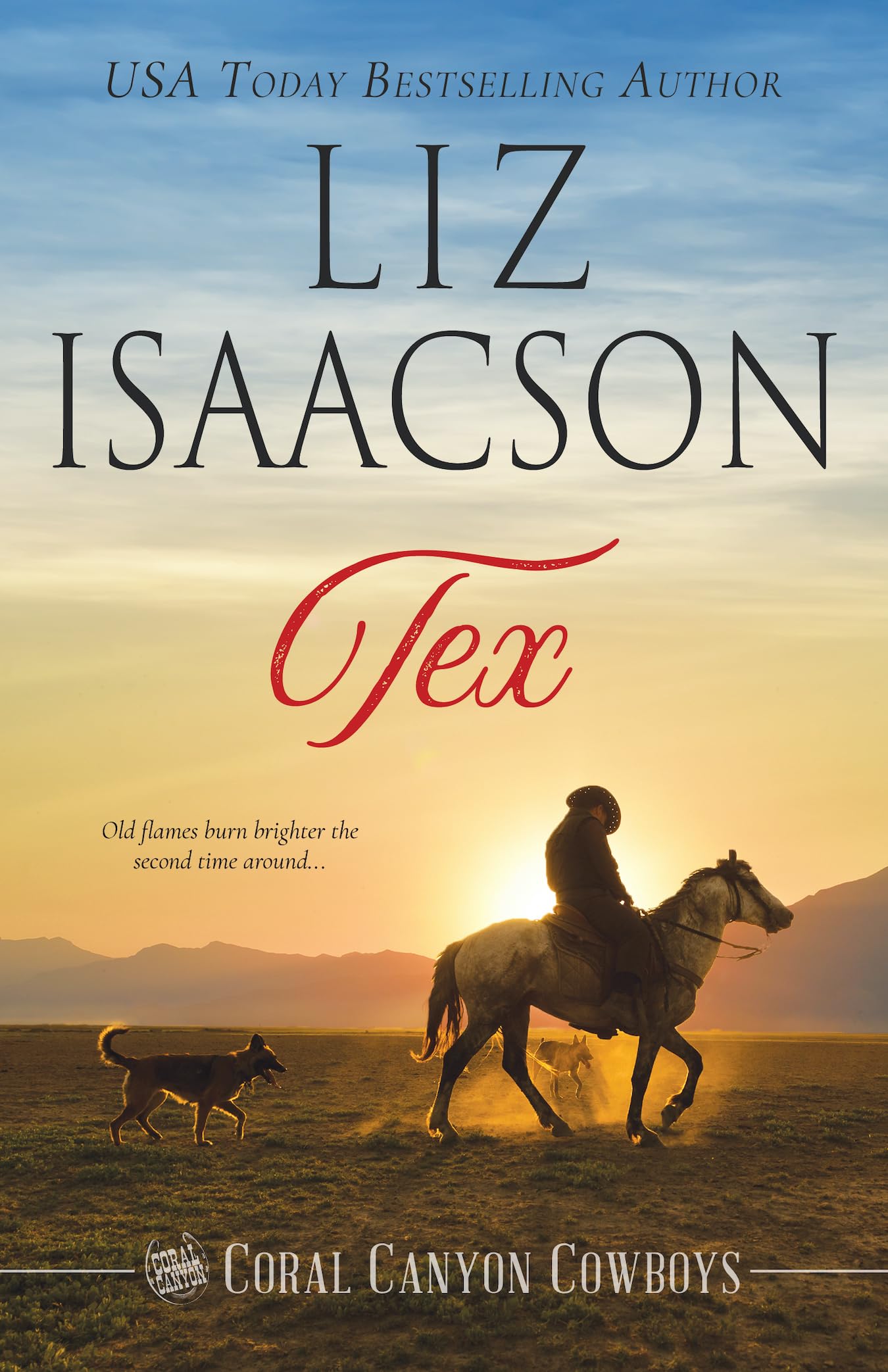 Tex: A Young Brothers Novel (Coral Canyon™ Cowboys Book 1)