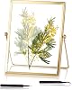 Glasbilderrahmen Glas Goldene Bilderrahmen 15x20cm Gold Doppelglas Bilderrahmen Stehend Metall Glasrahmen für Gepresste Blumen Durchsichtig Fotorahmen für Pflanzenprobe Artwork Bilder Halter