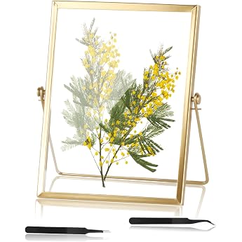 Glass Picture Frame Golden Picture Frame 15 x 20 cm Gold Double Glass Picture Frame Standing Metal Glass Frame for Pressed Flowers Transparent Photo Frame for Plant Sample Artwork Picture Holder