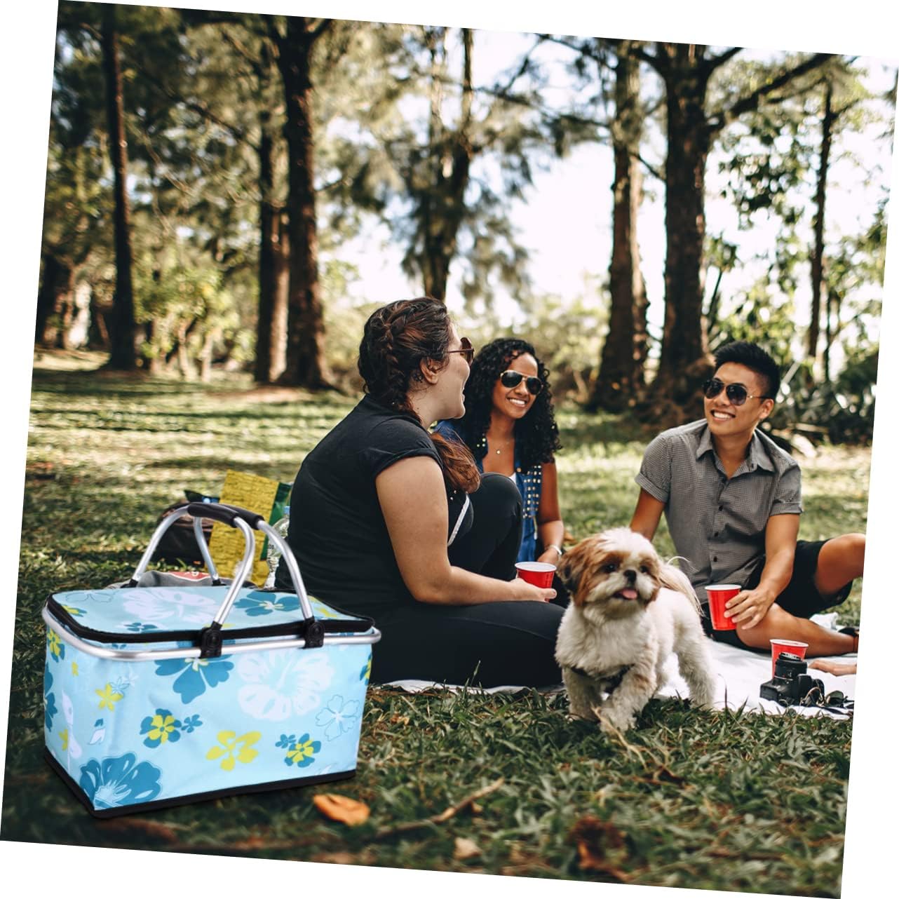 Alipis 1Pc Portable Picnic Basket Insulated Lunch Bag for Outdoor Activities Floral Design Capacity for Food and Beverages for Camping Concerts and Picnics