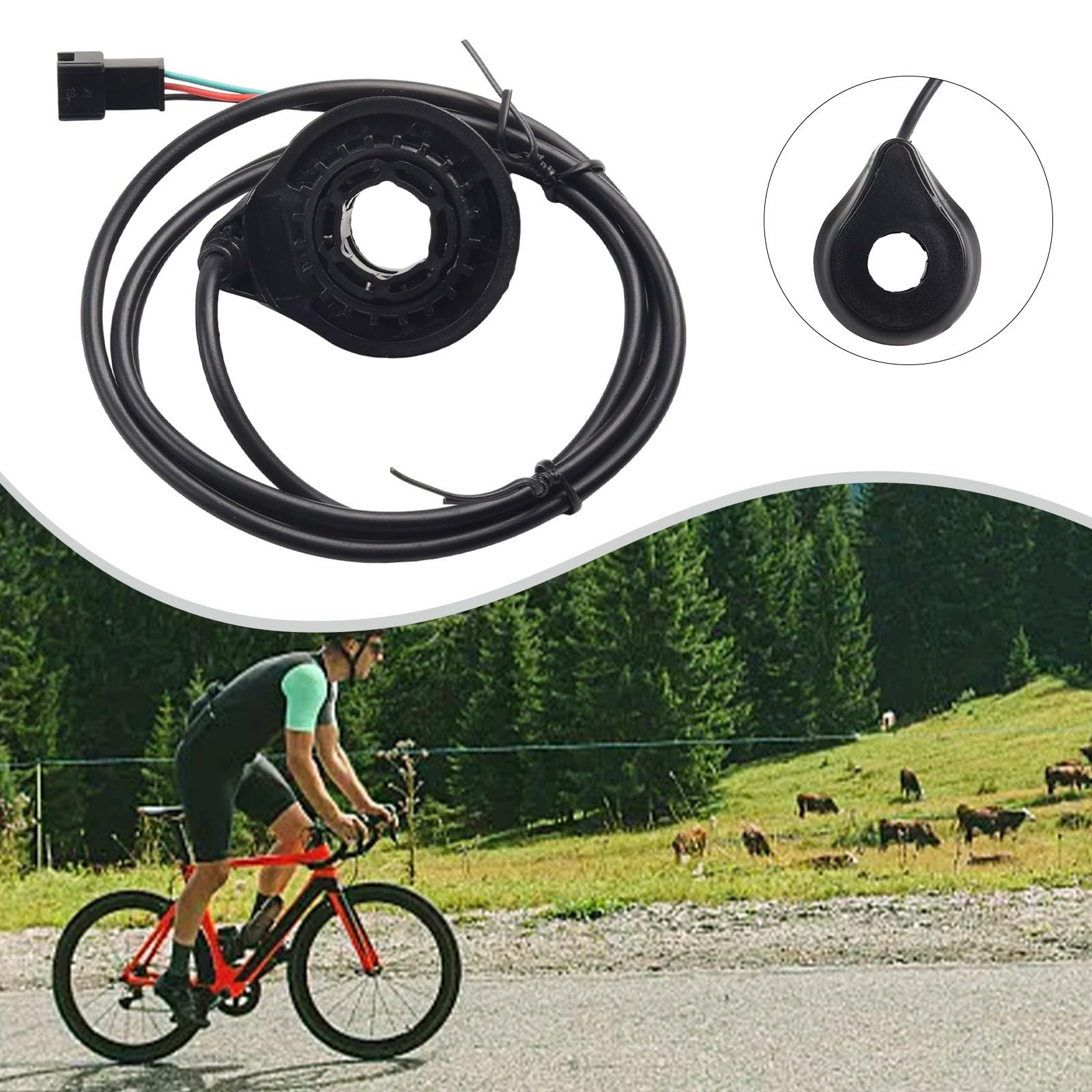 Sensore di pedale Ebike, Sensore PAS per bici elettrica E-Bike 12 magneti, Sensore di velocità per bicicletta elettrica a doppia sala, Installazione lato sinistro