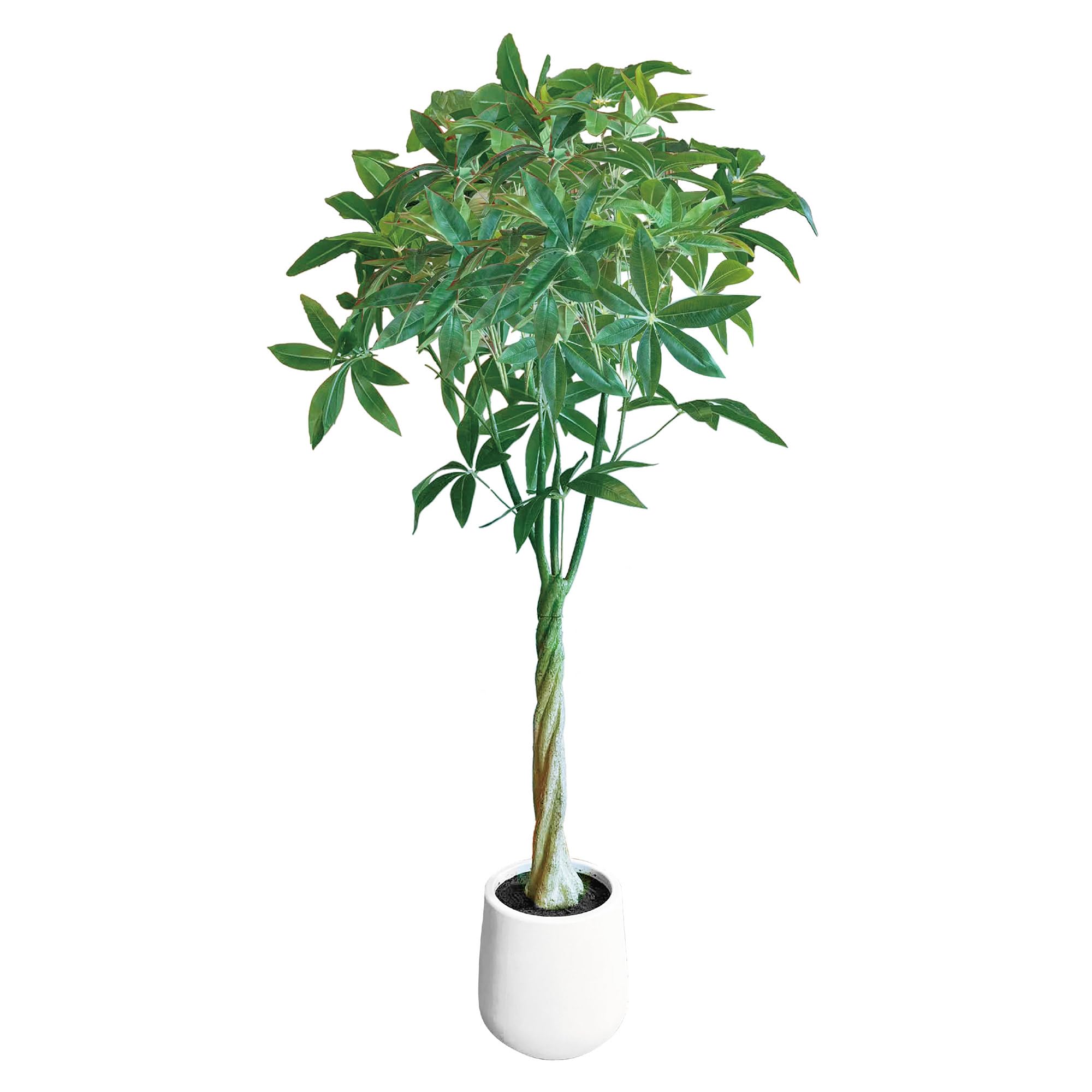 Amazon｜FIRSTSTARJAPAN フェイクグリーン 人工観葉植物 観葉樹 造花