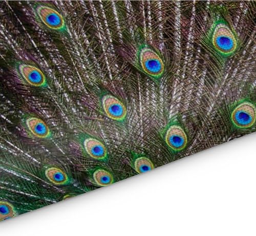 Miniatura 3 de Juego de 4 manteles individuales con textura de pavo real, lavables, impermeables, para fiestas, hogar, comedor, decoración de mesa de 18 x 12