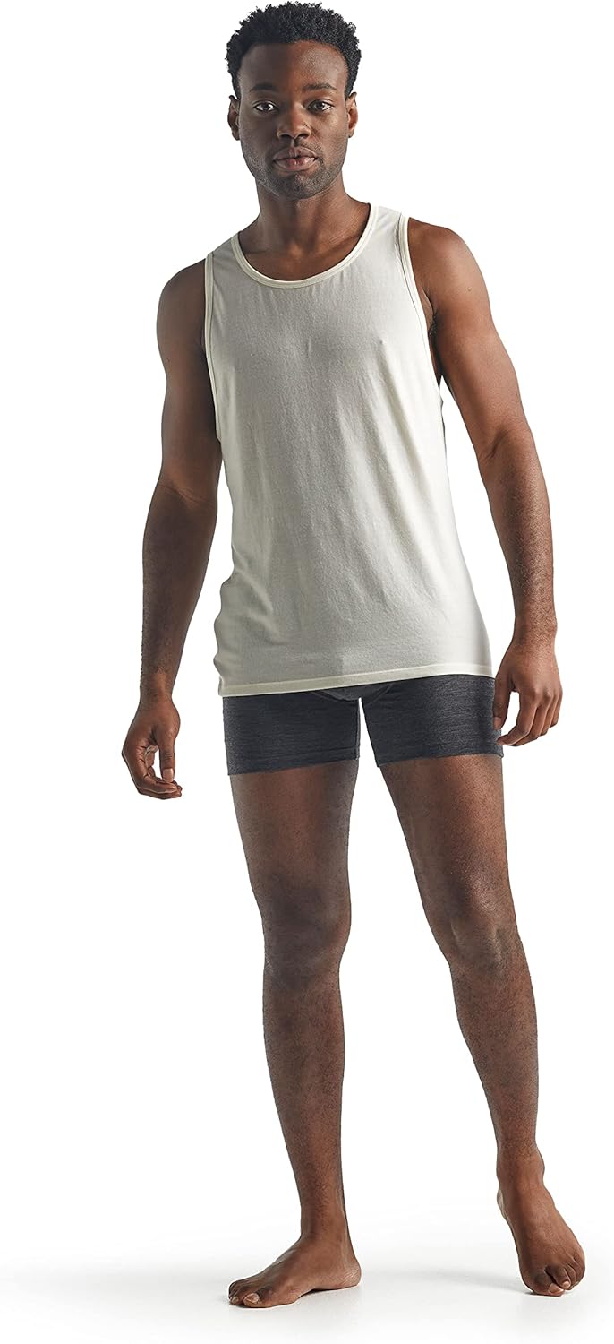 Icebreaker Merino Men's Anatomica Boxer Underwear : Clothing, Shoes & Jewelry