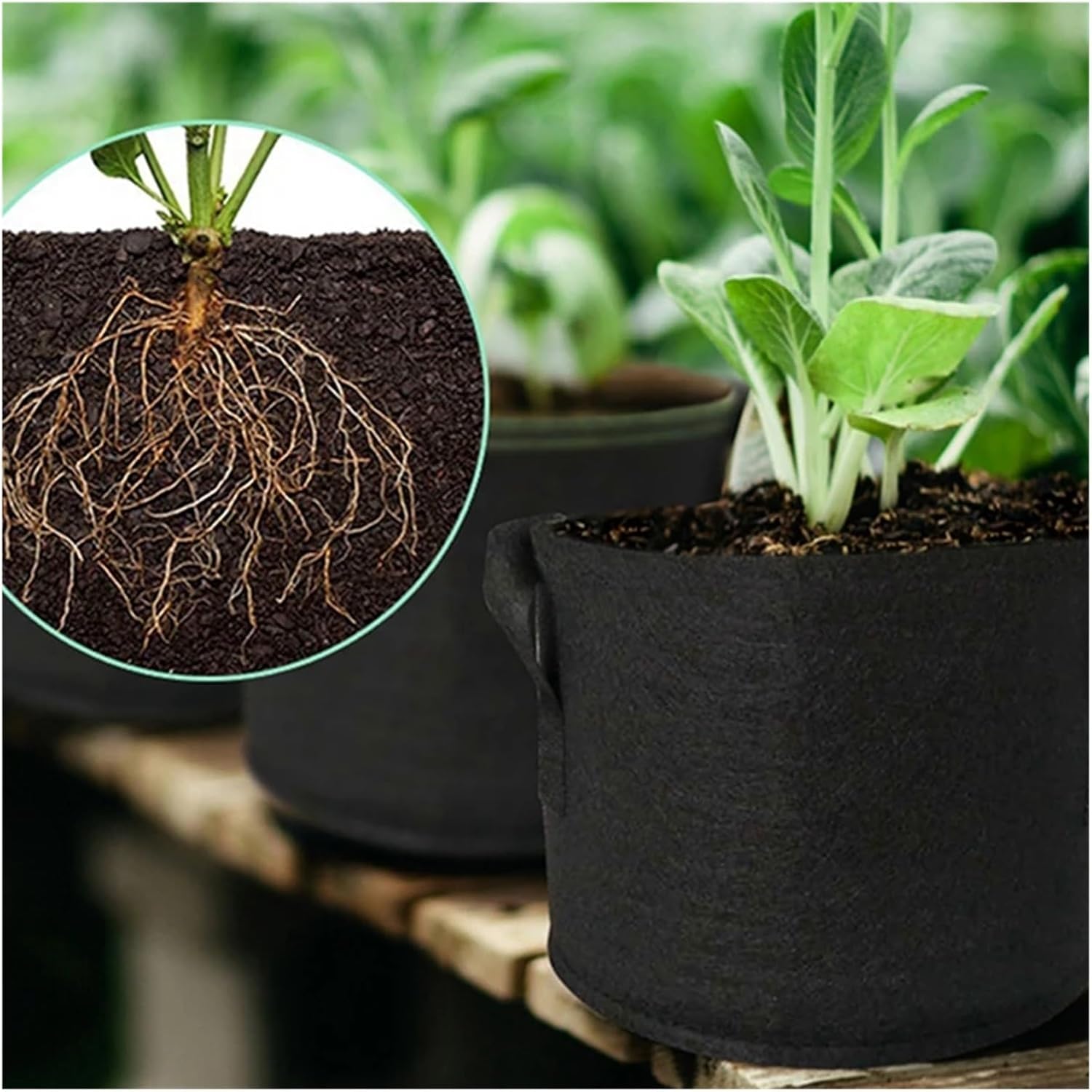 9 Sizes Fabric Grow Bags Vegetable/Flower/Plant Plant Pots with Handles Garden Supplies(50 Gallon 75x40cm)